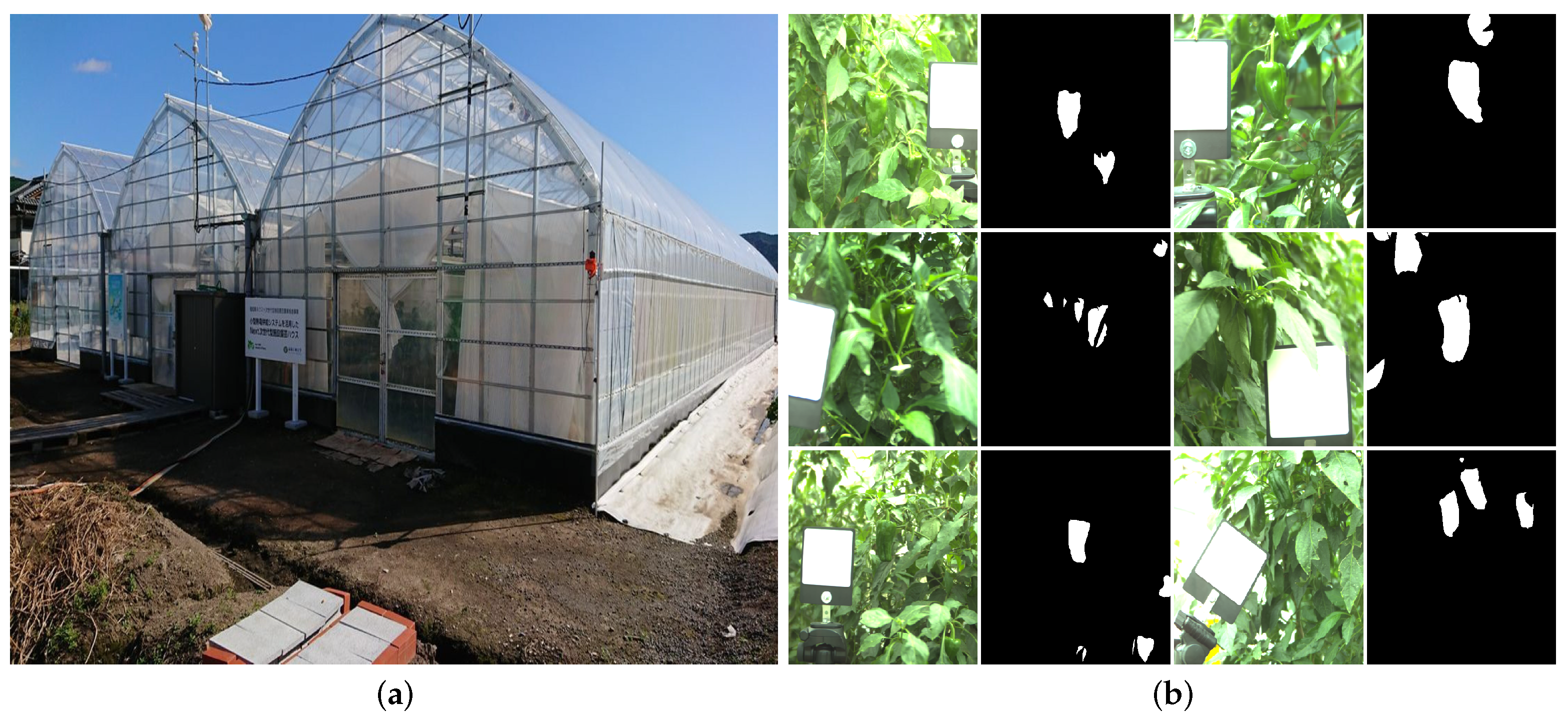 Sensors 21 06437 g002