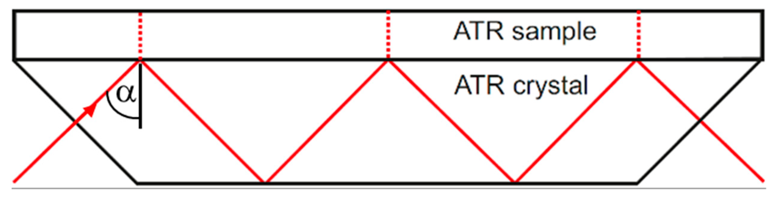 Sensors 21 06442 g002 550