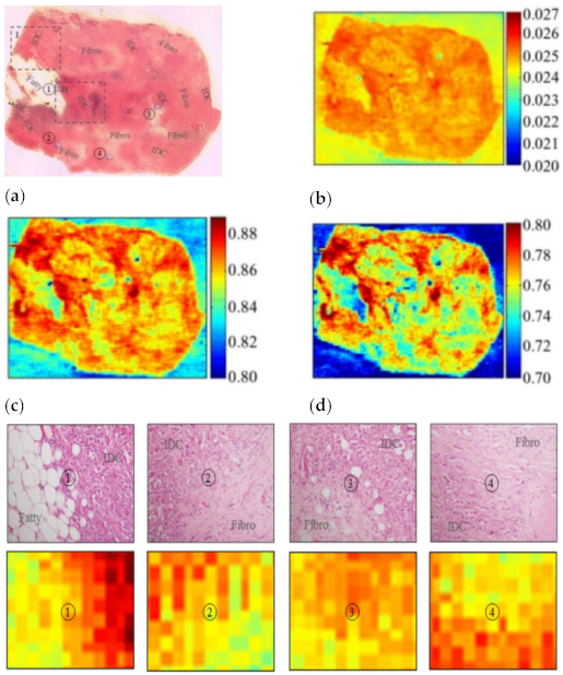 Sensors 21 06465 g007
