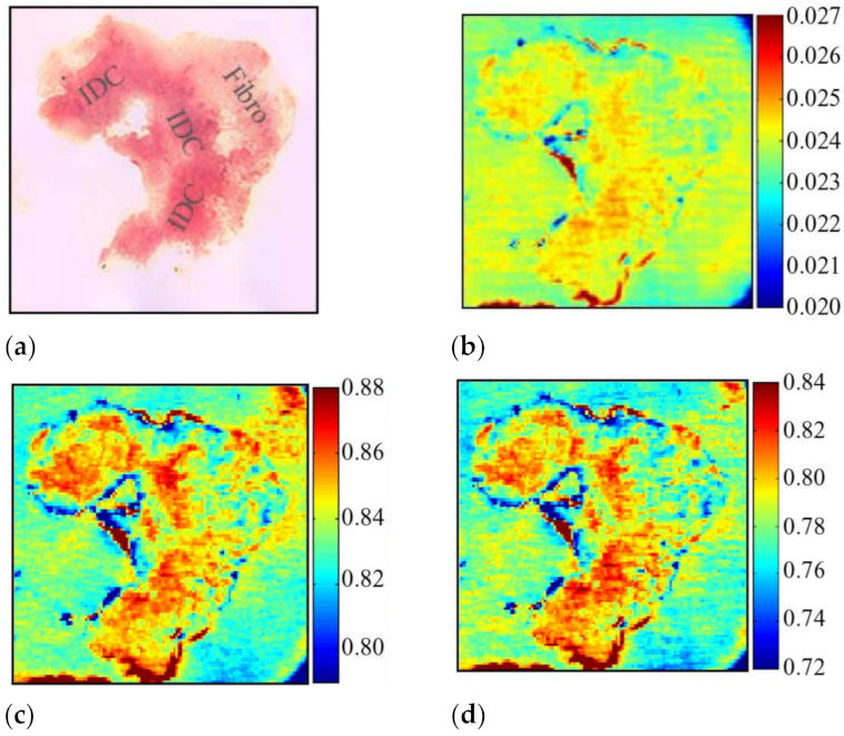 Sensors 21 06465 g008