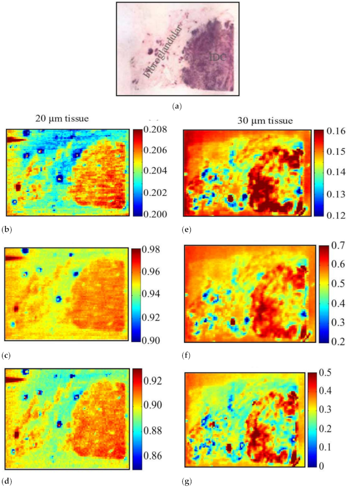 Sensors 21 06465 g009