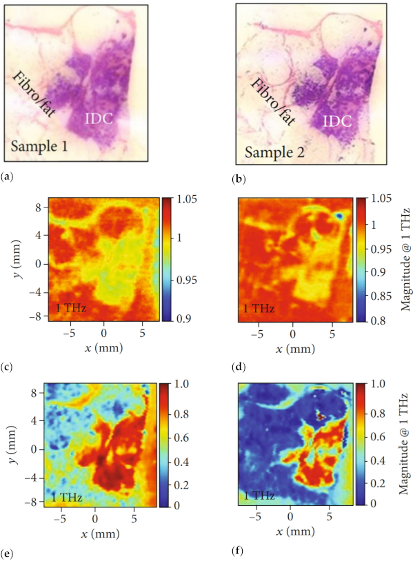 Sensors 21 06465 g010