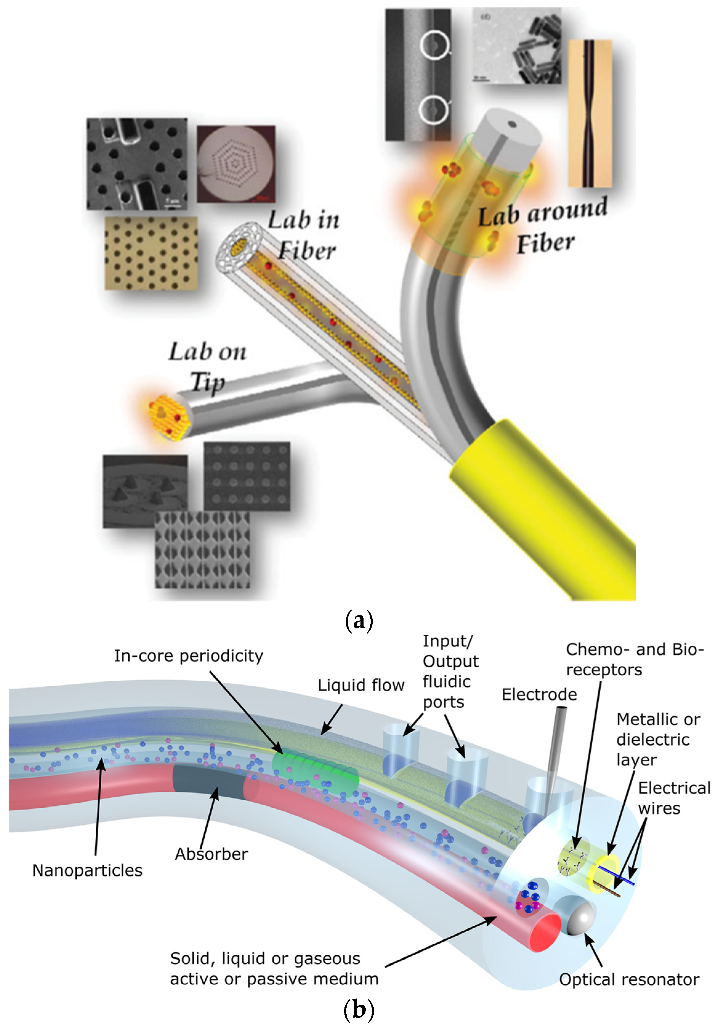 Sensors 21 06469 g007