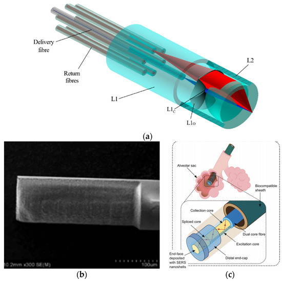 Sensors Free FullText Recent Advances in Biomedical Photonic