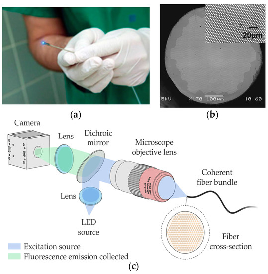 sensors free full text recent advances in biomedical photonic sensors a focus on optical fibre based sensing html