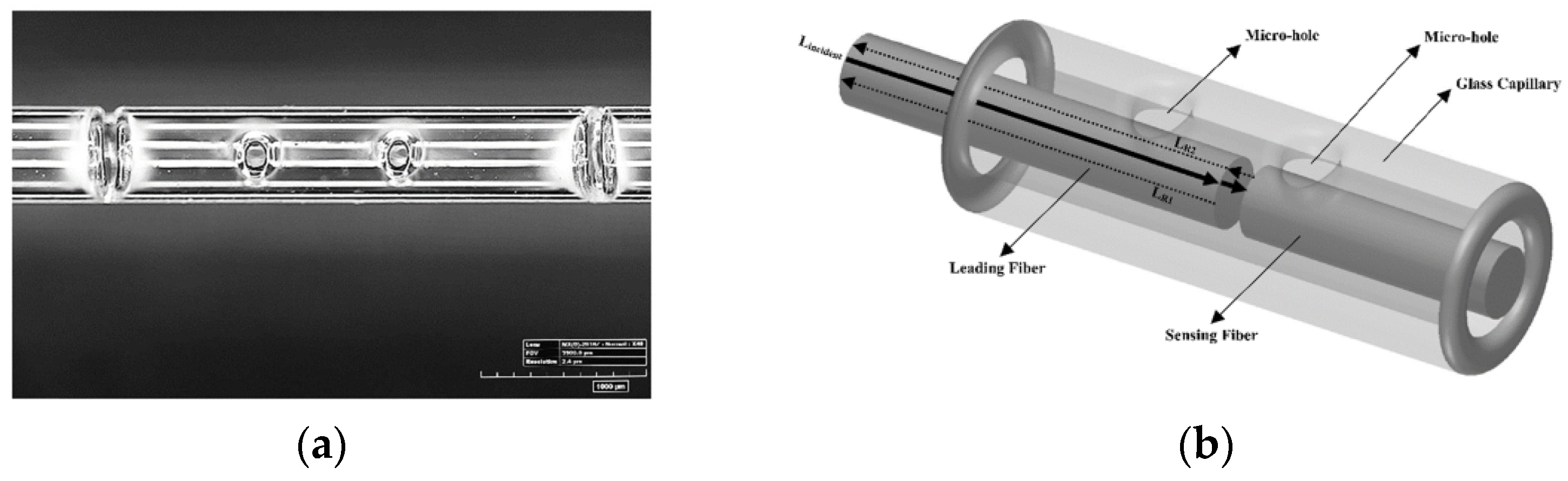 Sensors 21 06469 g012