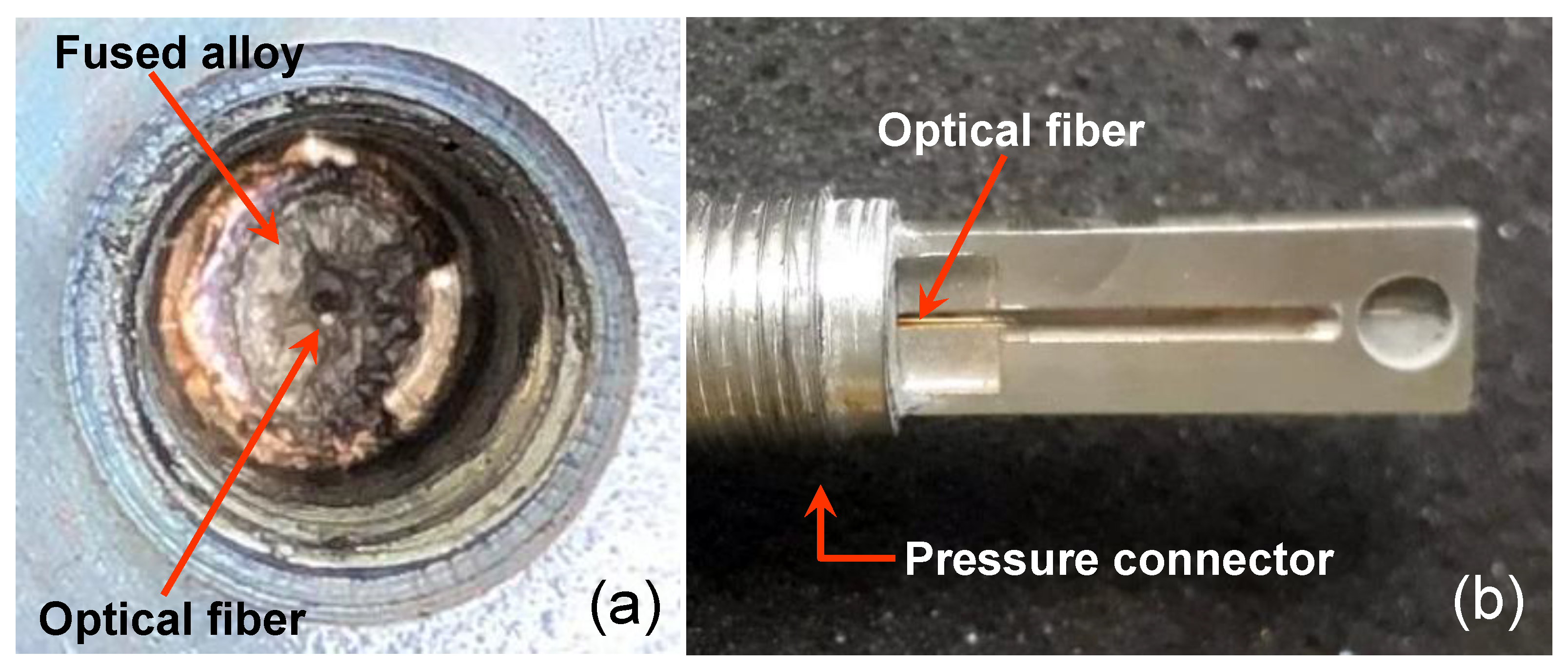 Sensors 21 06531 g008