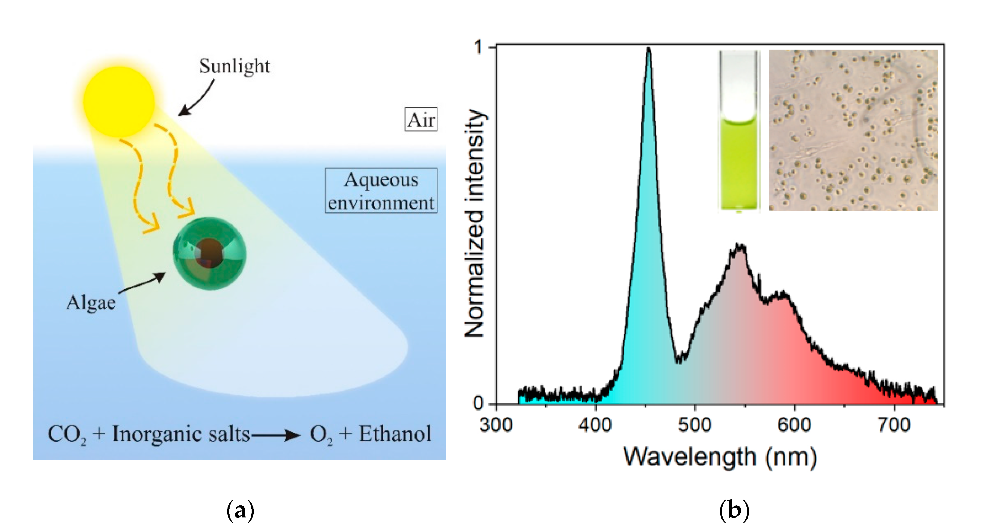 Sensors 21 06553 g002