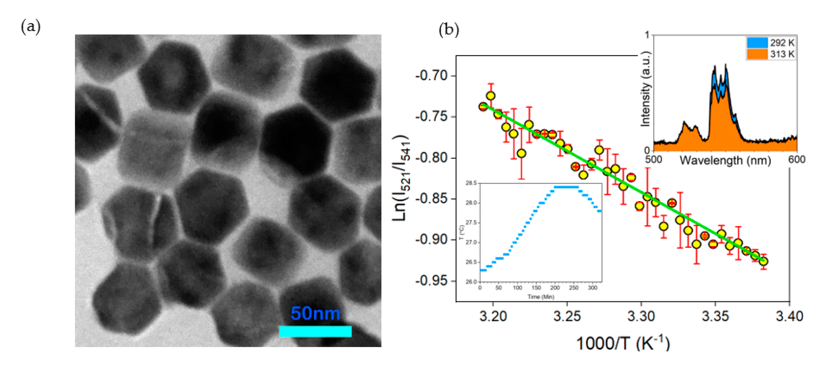 Sensors 21 06553 g005