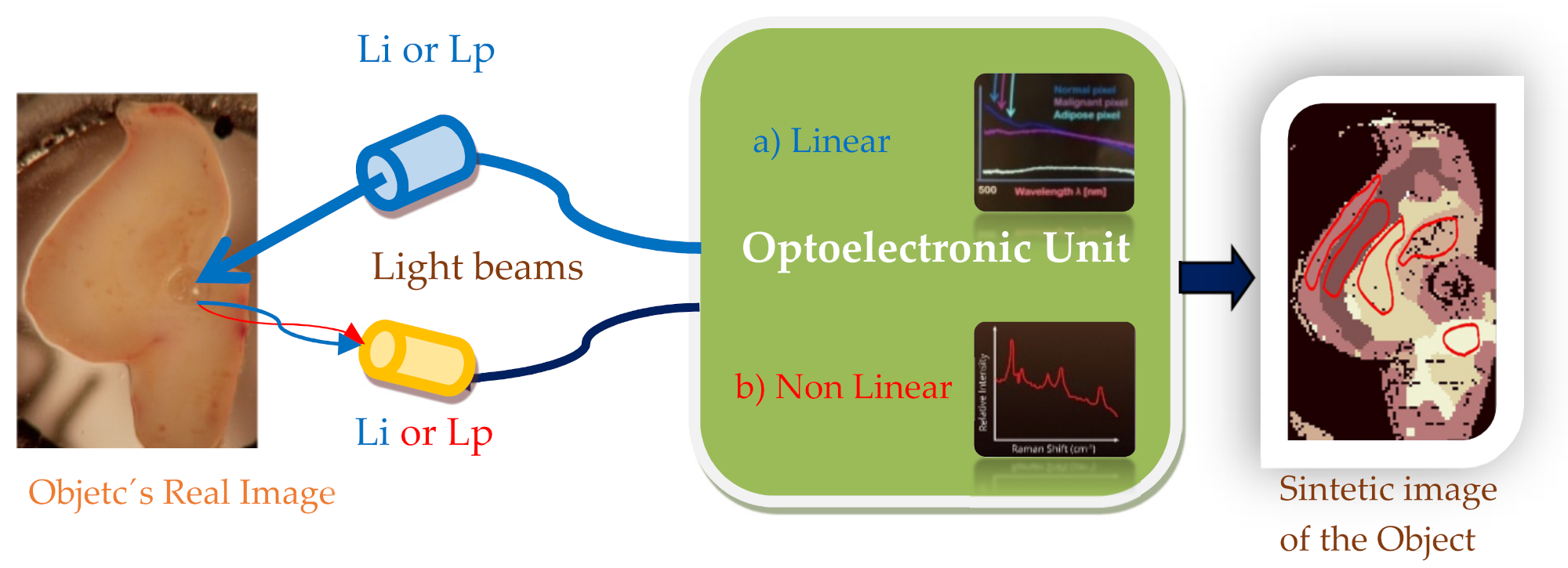 Sensors 21 06562 g016 550
