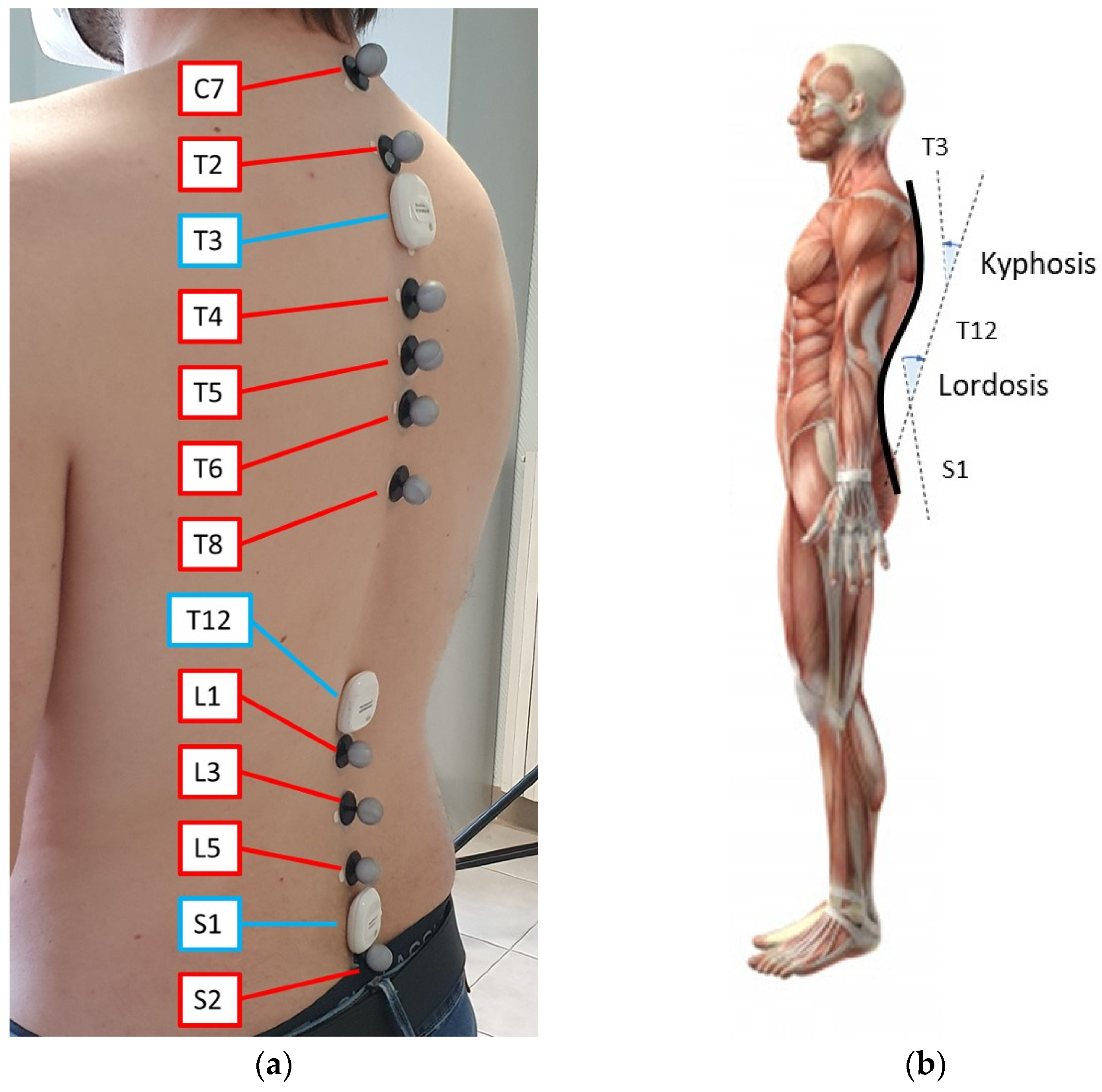 Sensors 21 06610 g003 550
