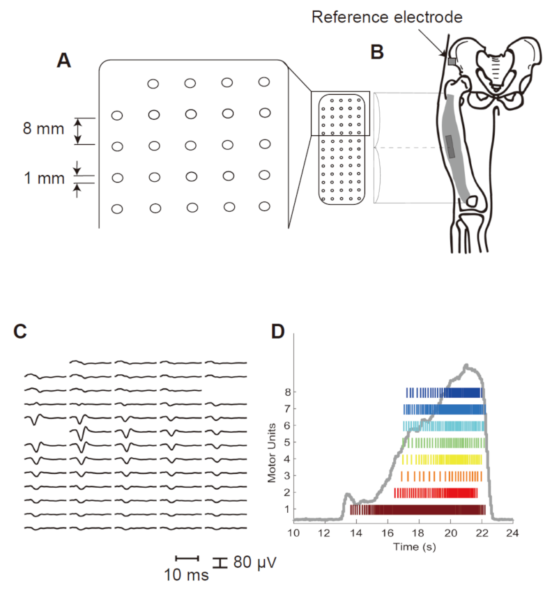 Sensors 21 06615 g001