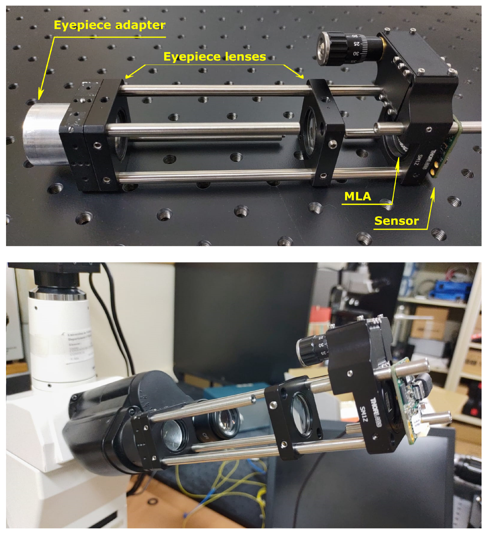 Sensors 21 06619 g003