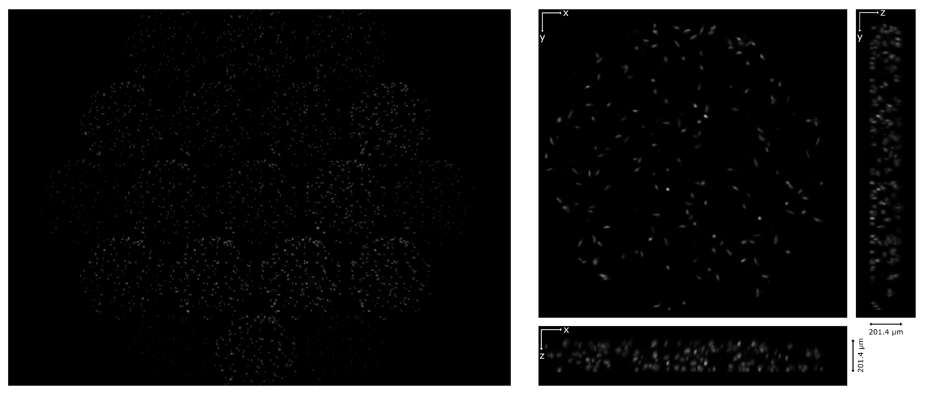 Sensors 21 06619 g008