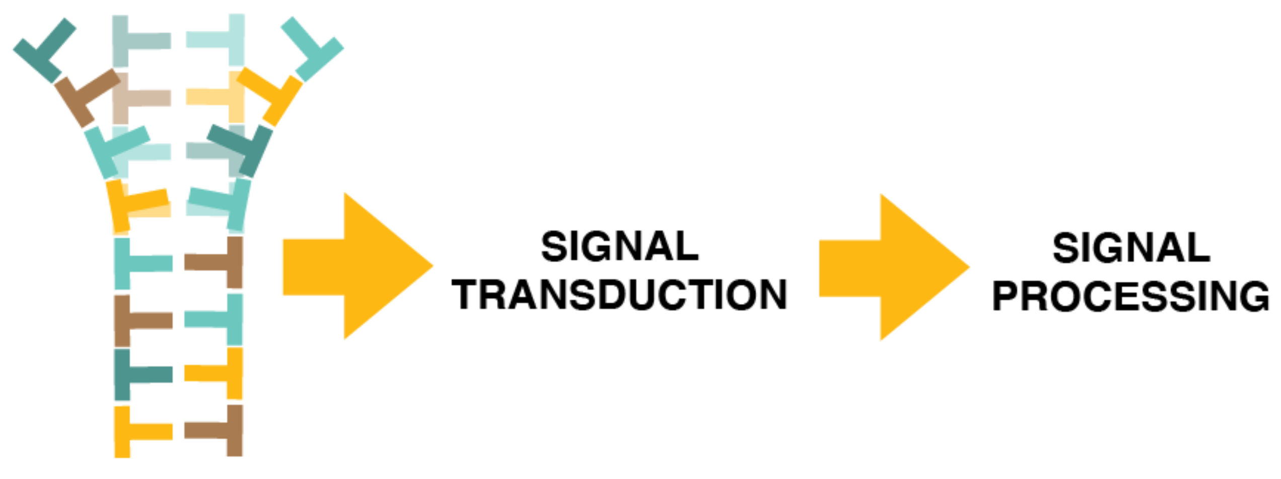 Sensors 21 06625 g002