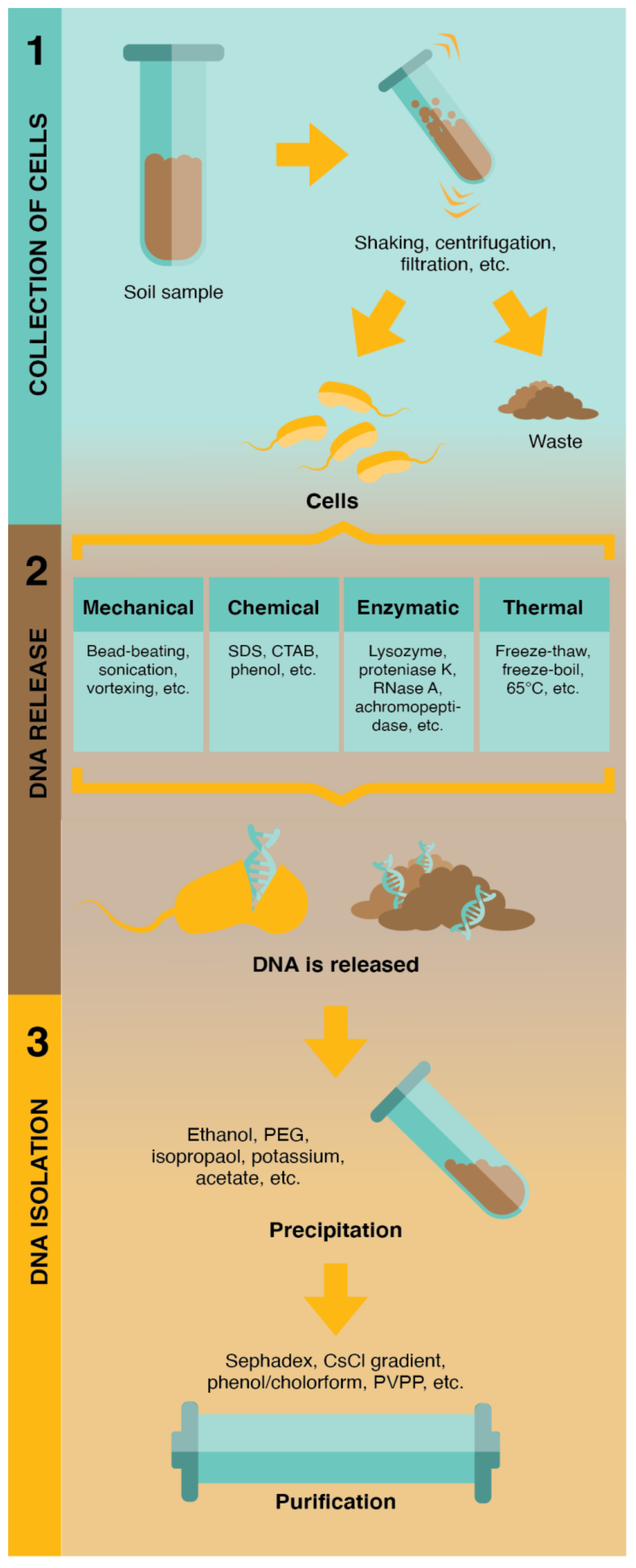 Sensors 21 06625 g003