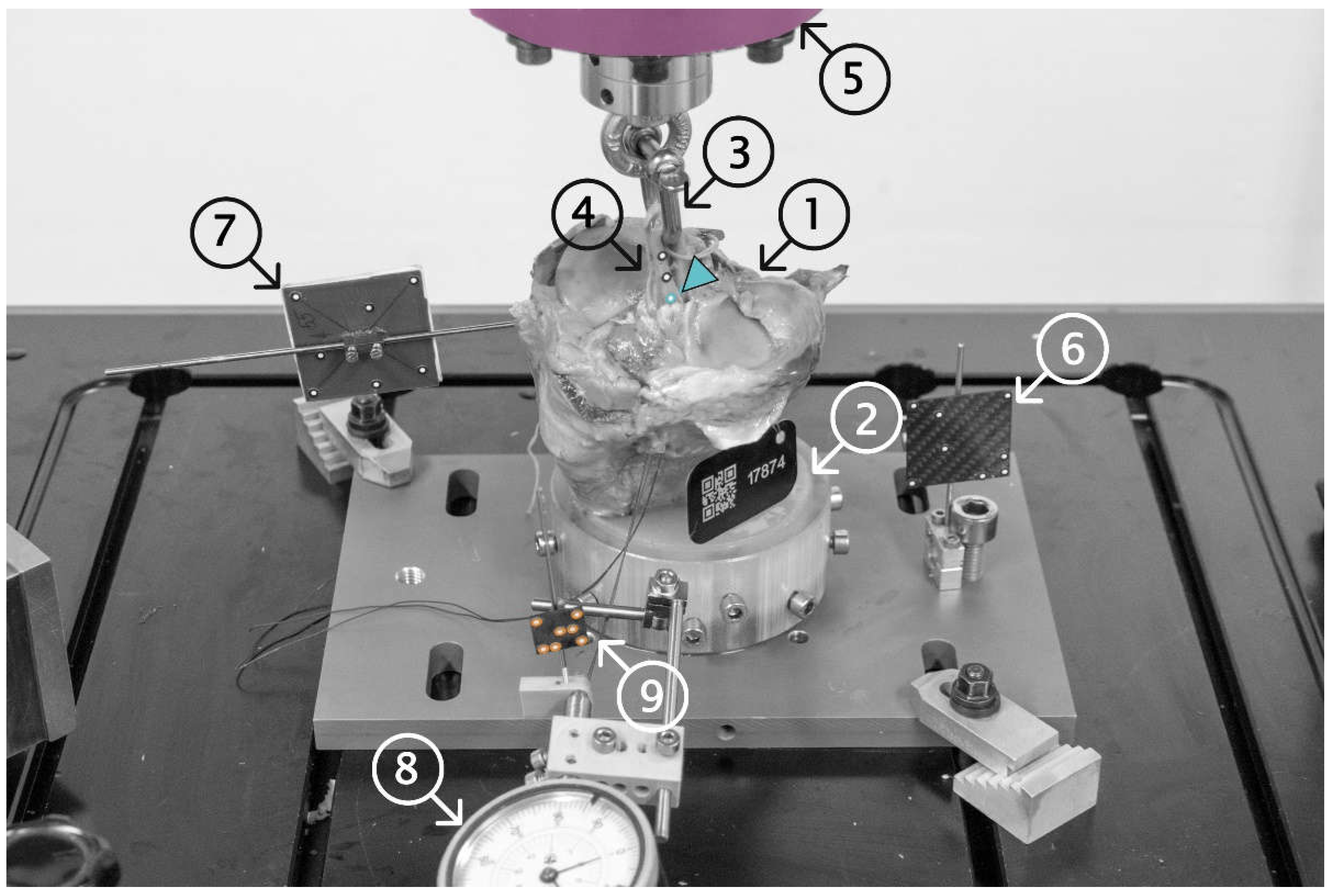 Sensors 21 06632 g001