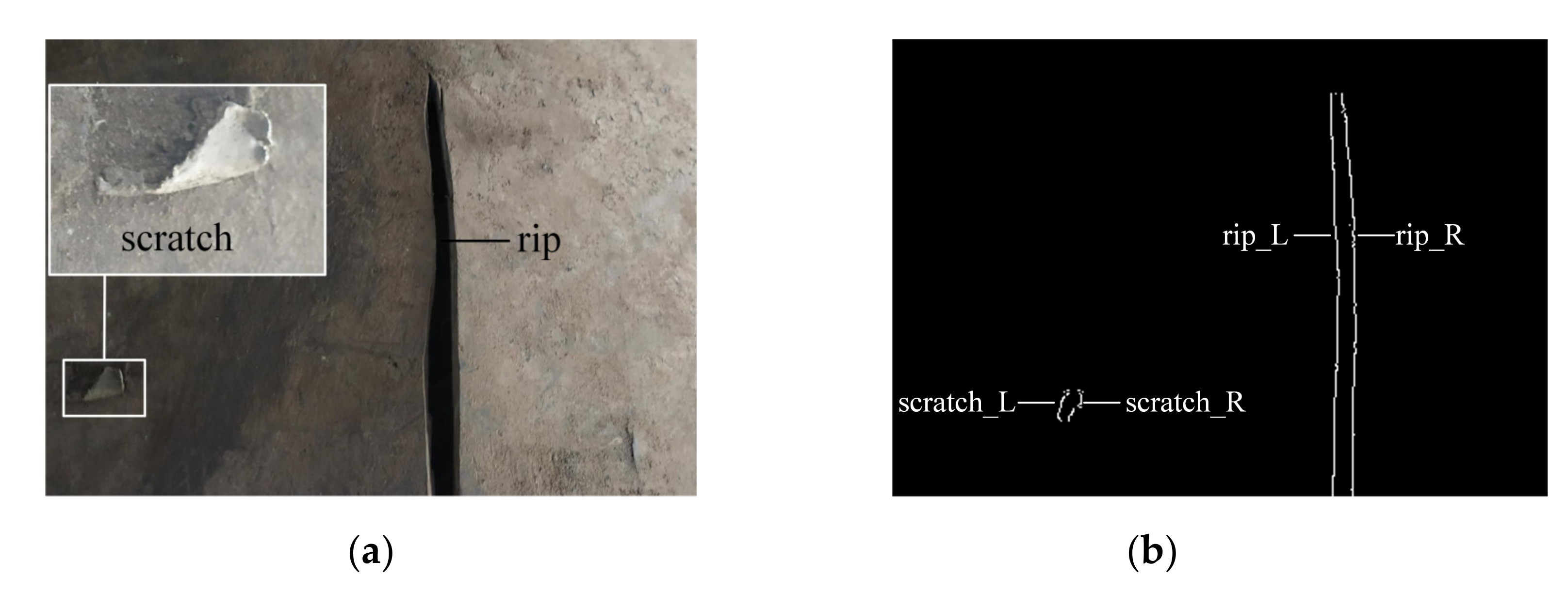 Sensors 21 06650 g004 550