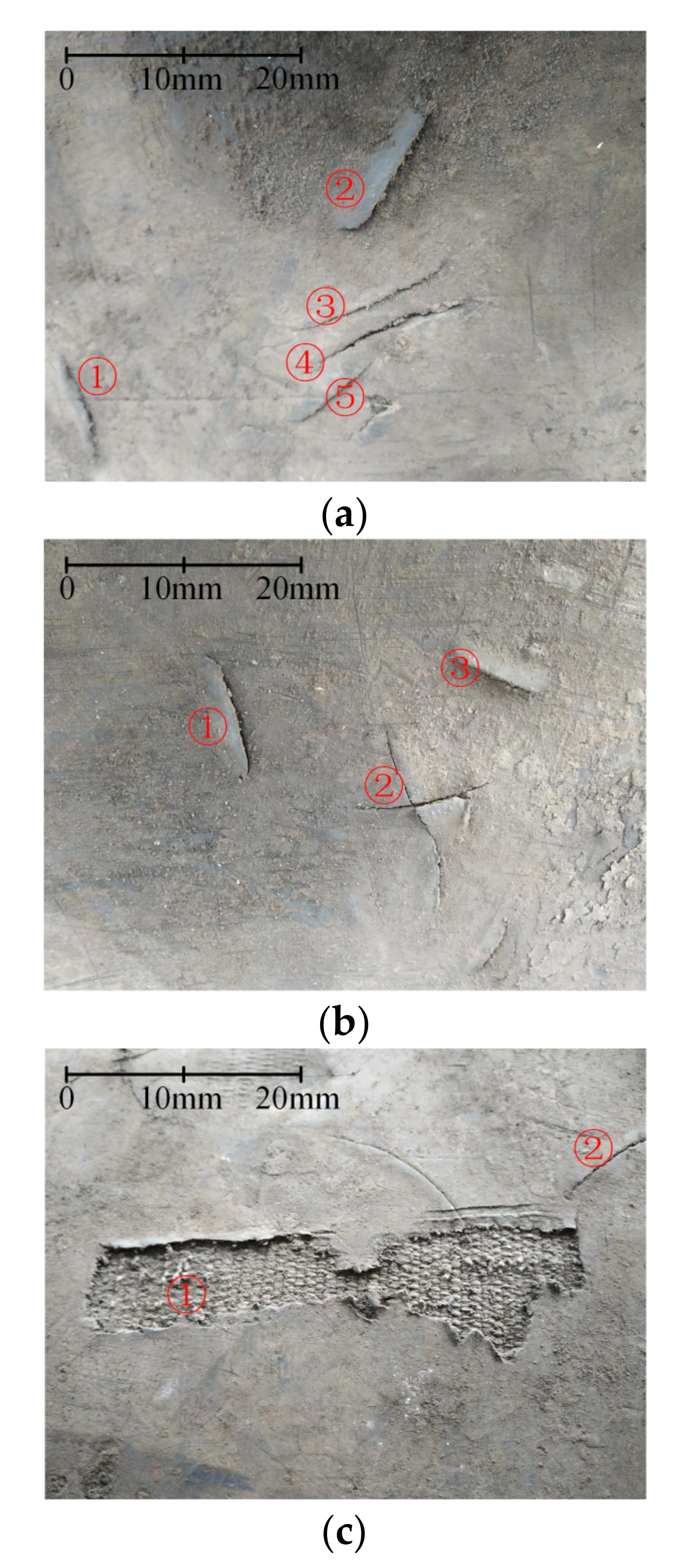 Sensors 21 06650 g011 550