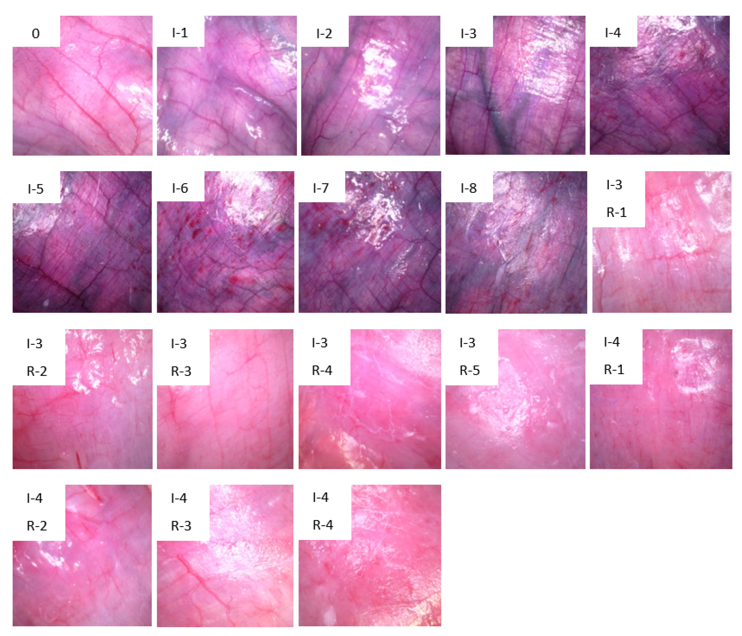 Sensors 21 06691 g001 550