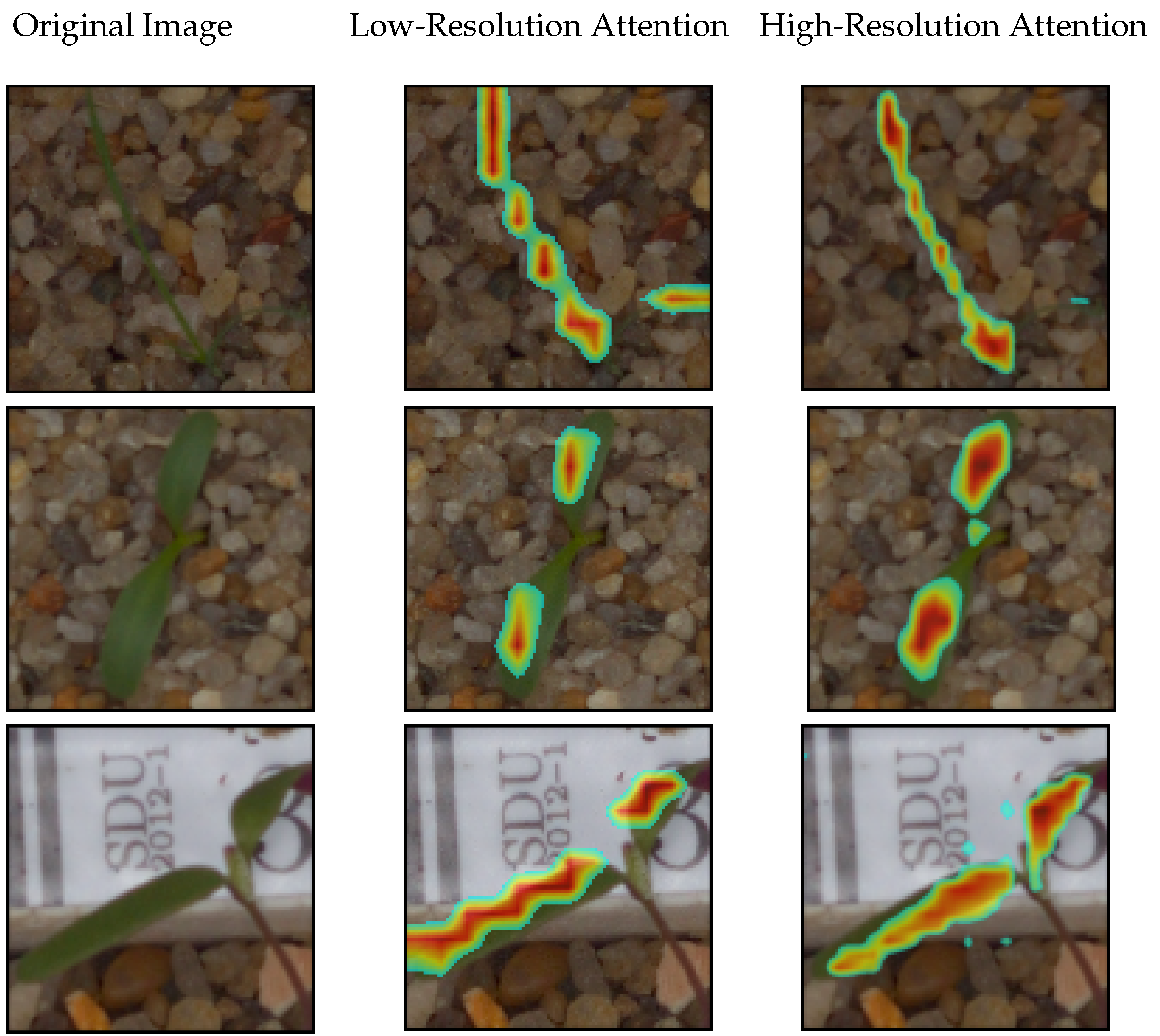 Sensors 21 06705 g003