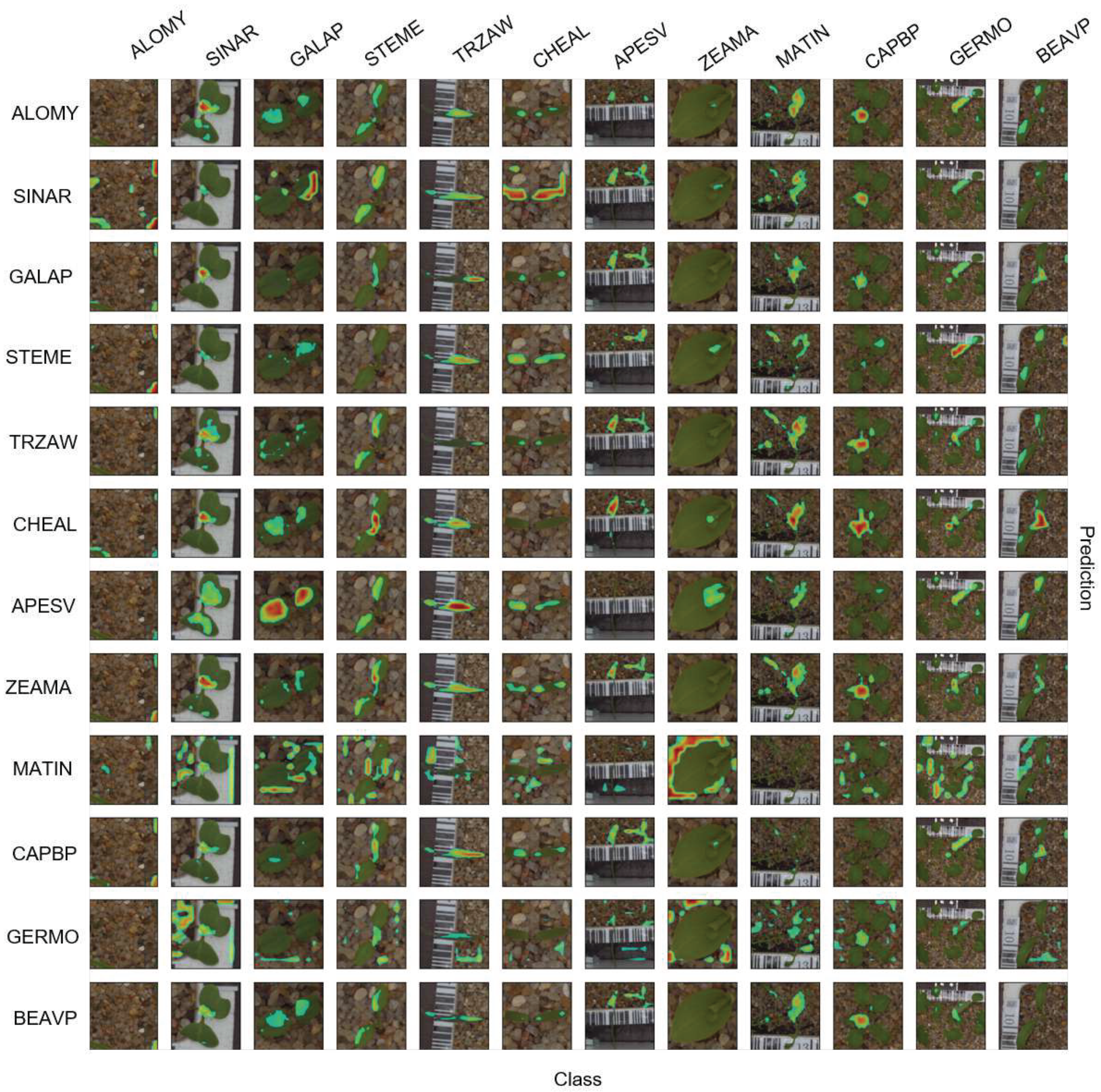 Sensors 21 06705 g006