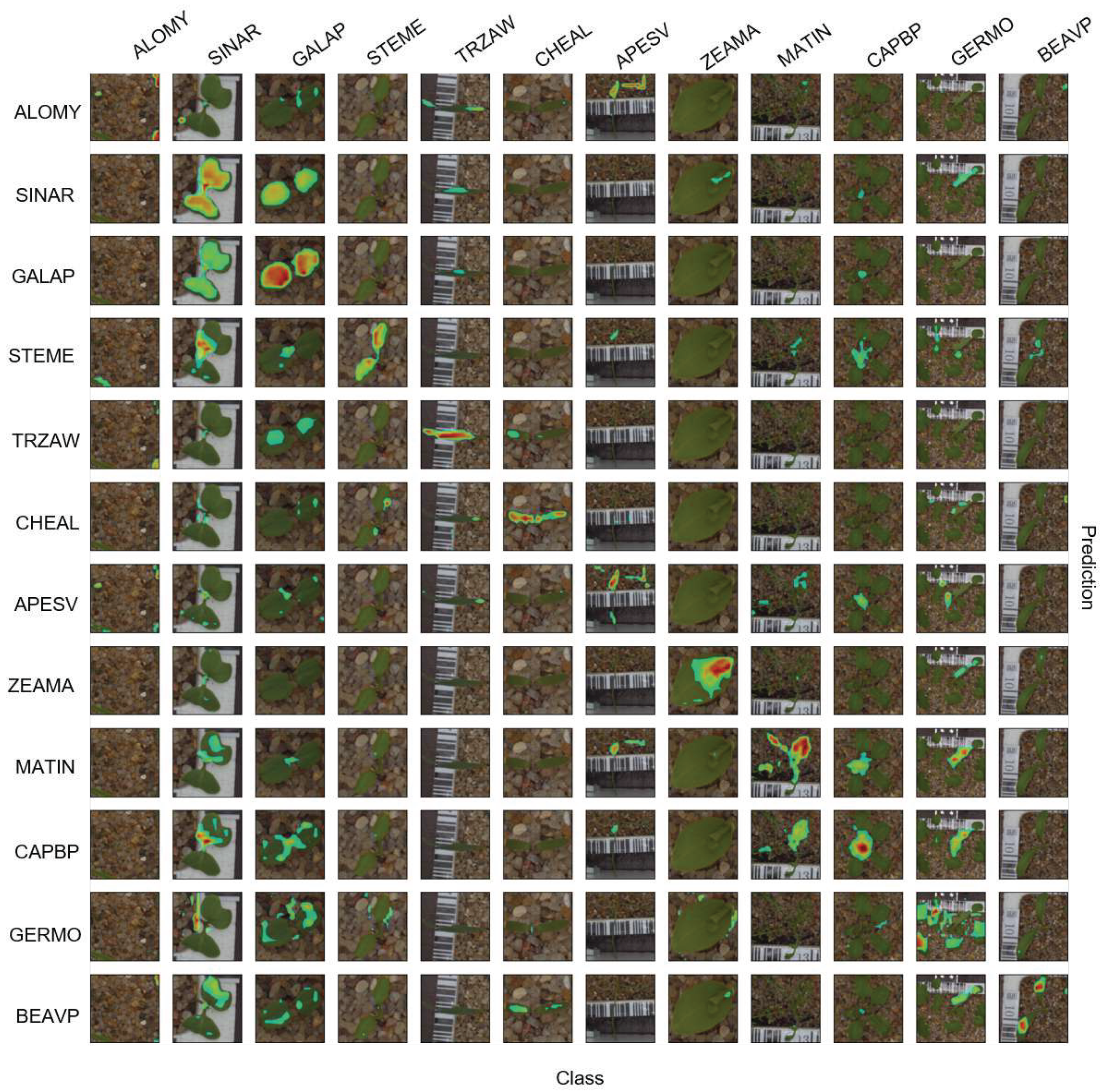 Sensors 21 06705 g008