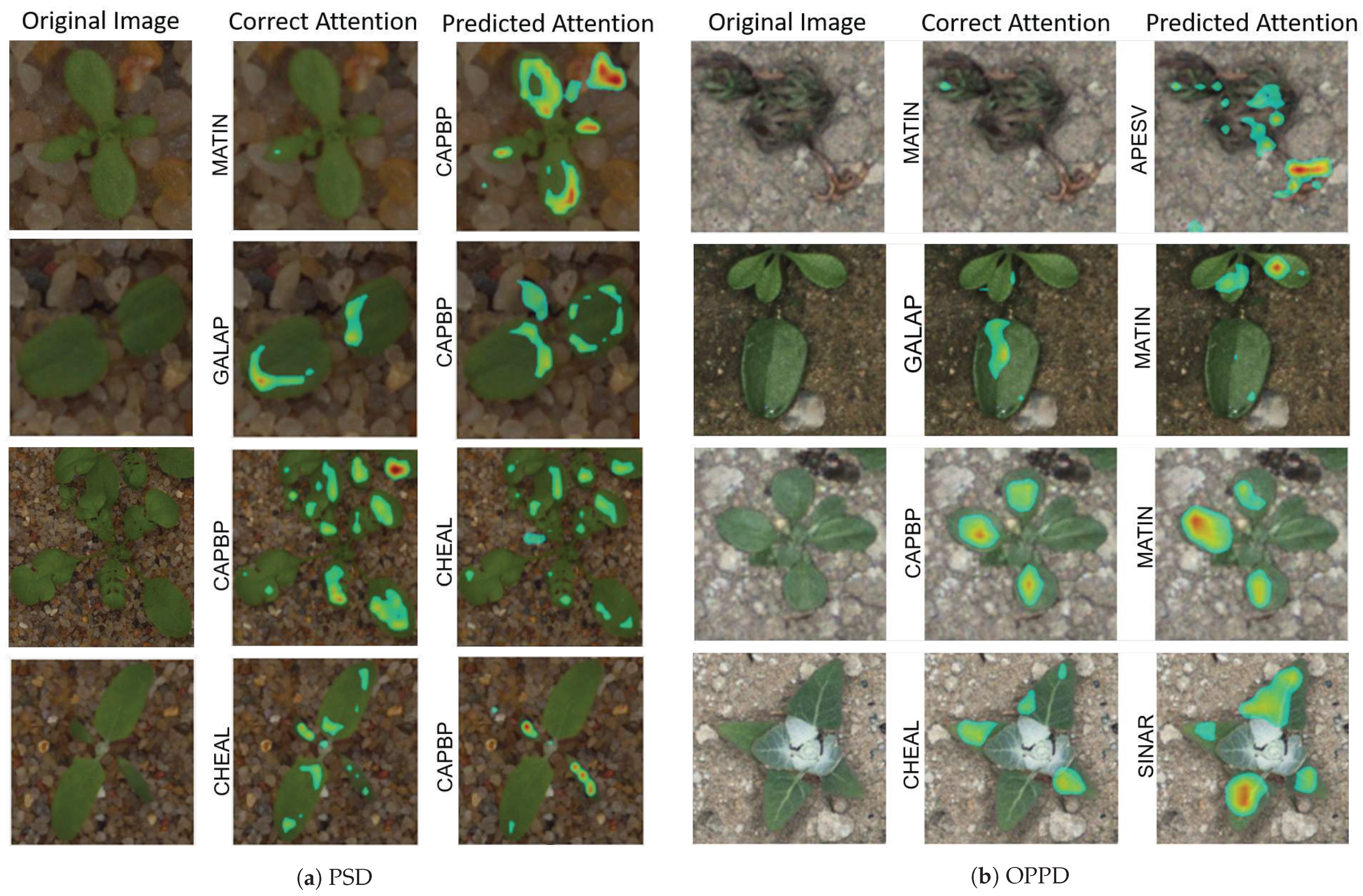 Sensors 21 06705 g009