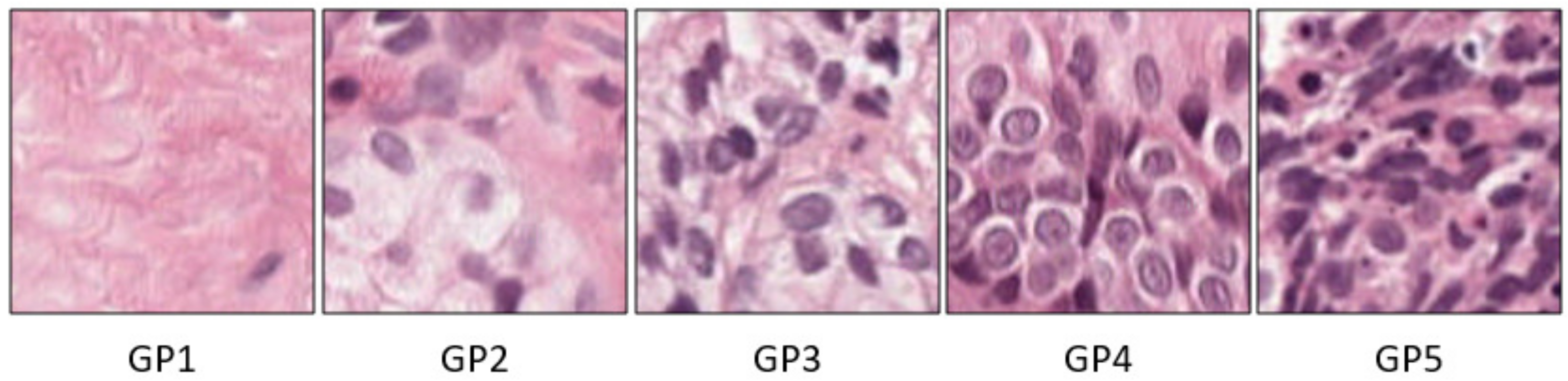 Sensors 21 06708 g001