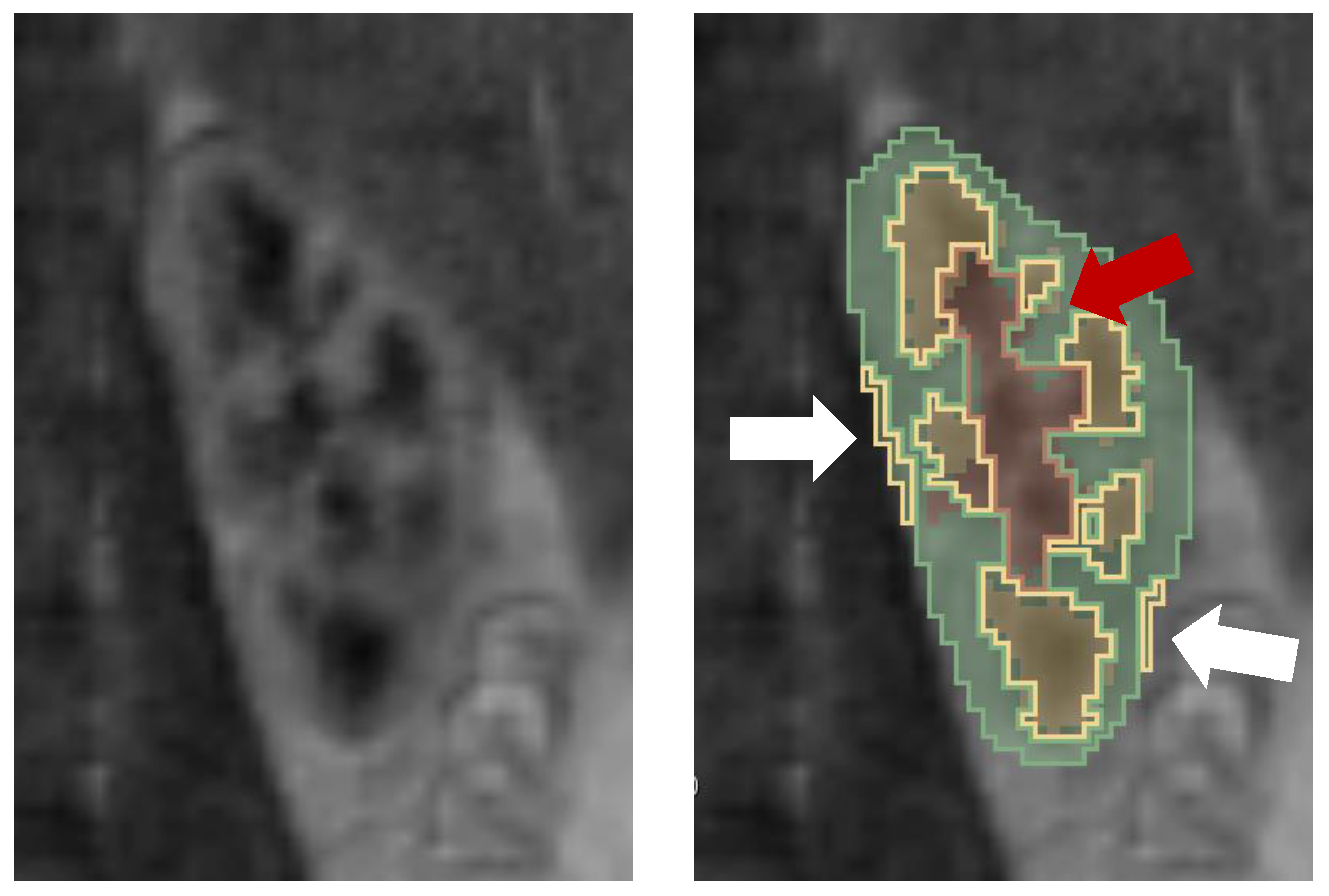 Sensors 21 06714 g010 550