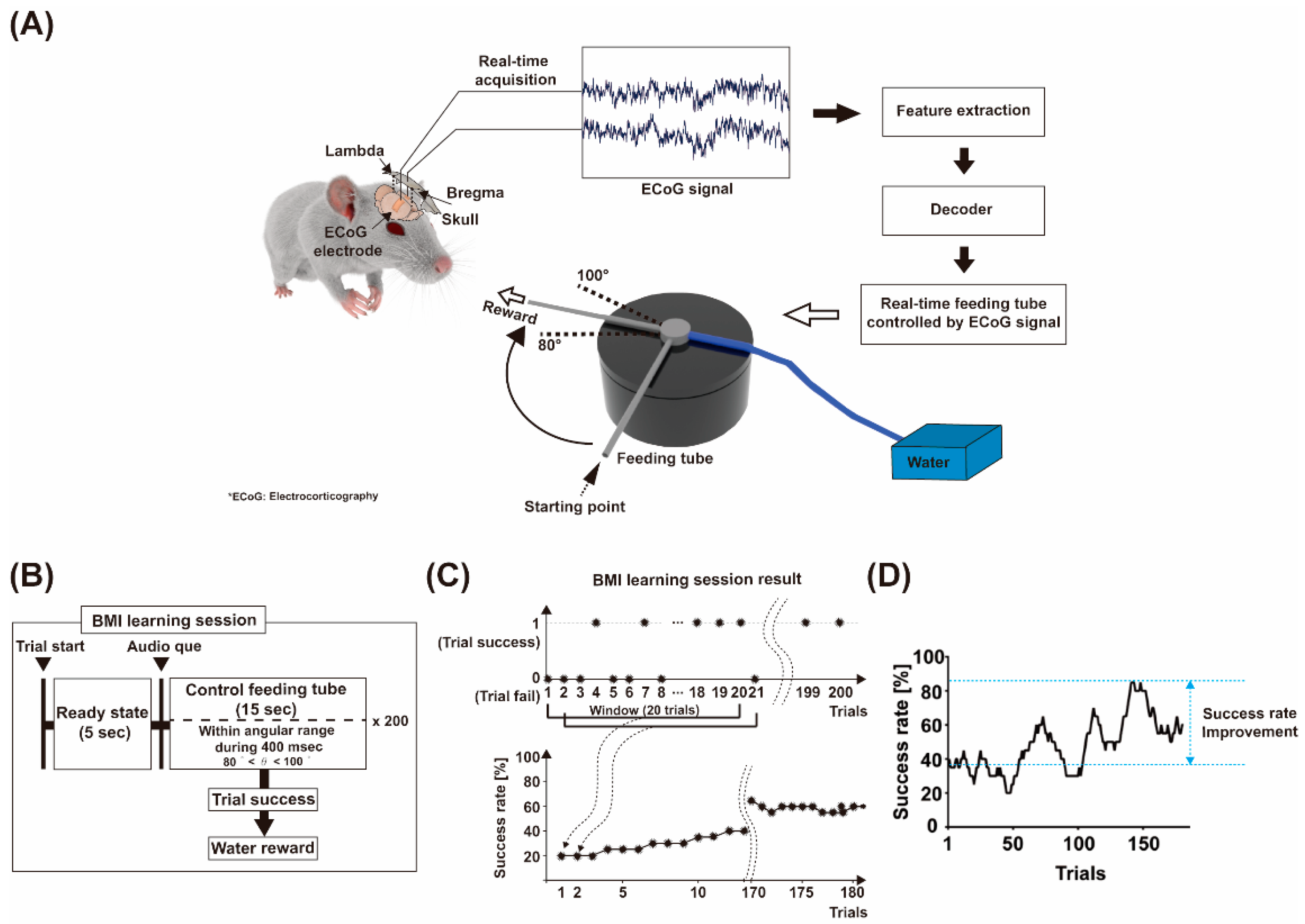 Sensors 21 06729 g001 Sensors 21 06729 g001