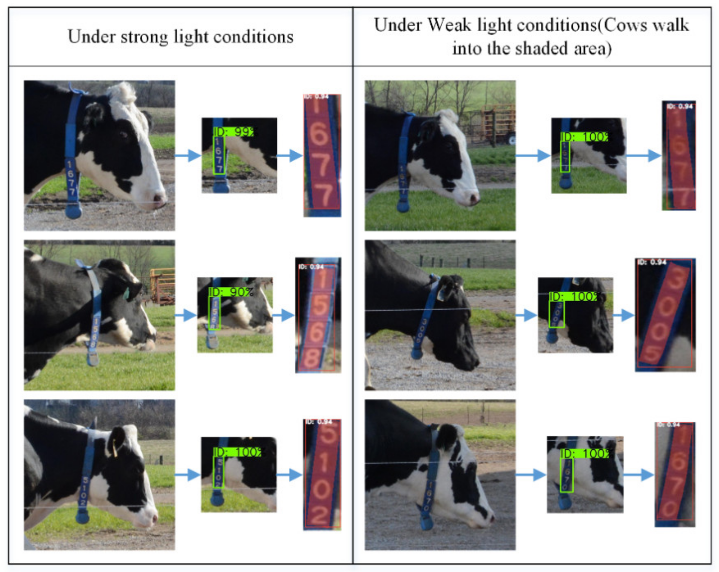 Sensors 21 06734 g011 550