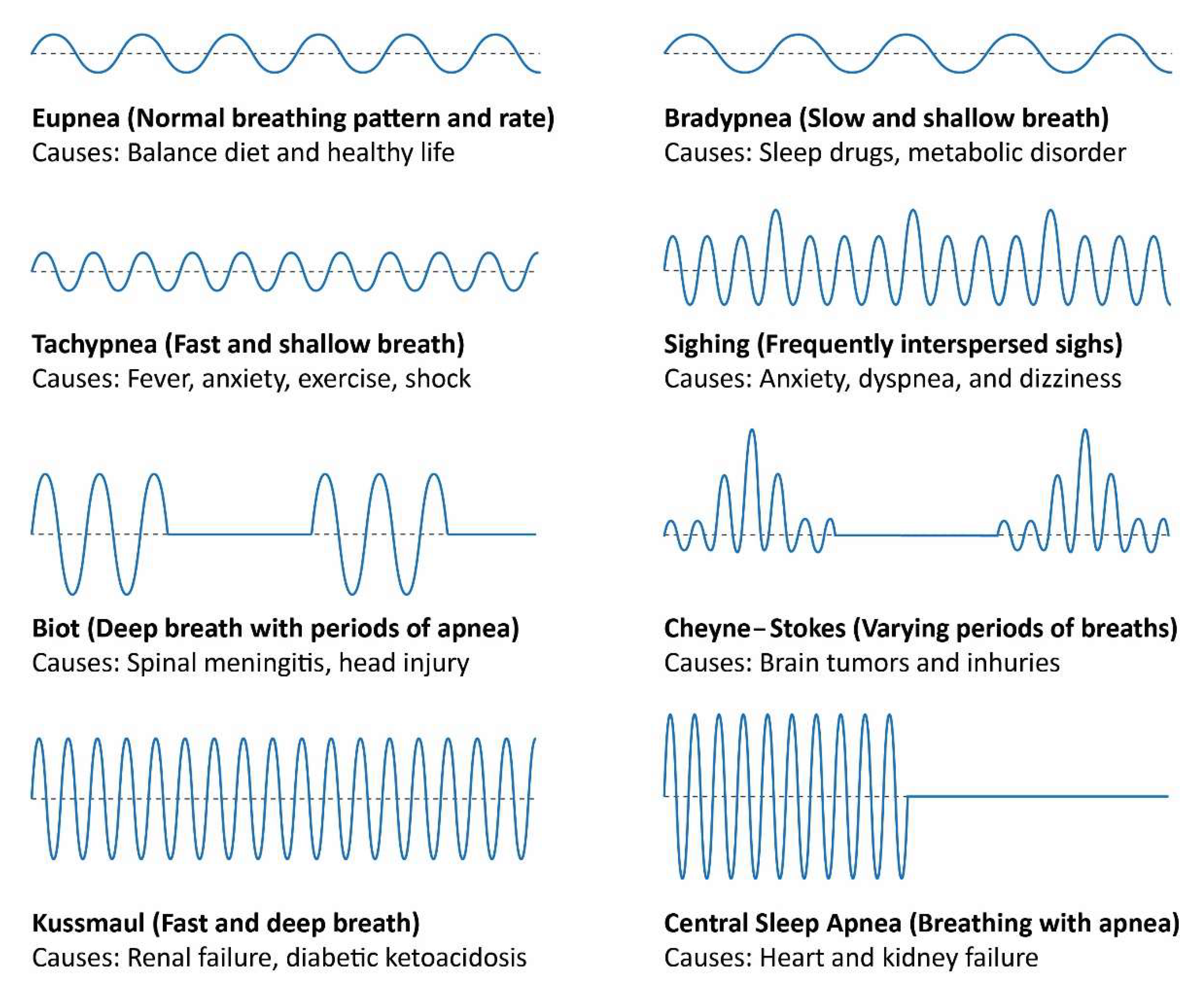 Sensors, Free Full-Text