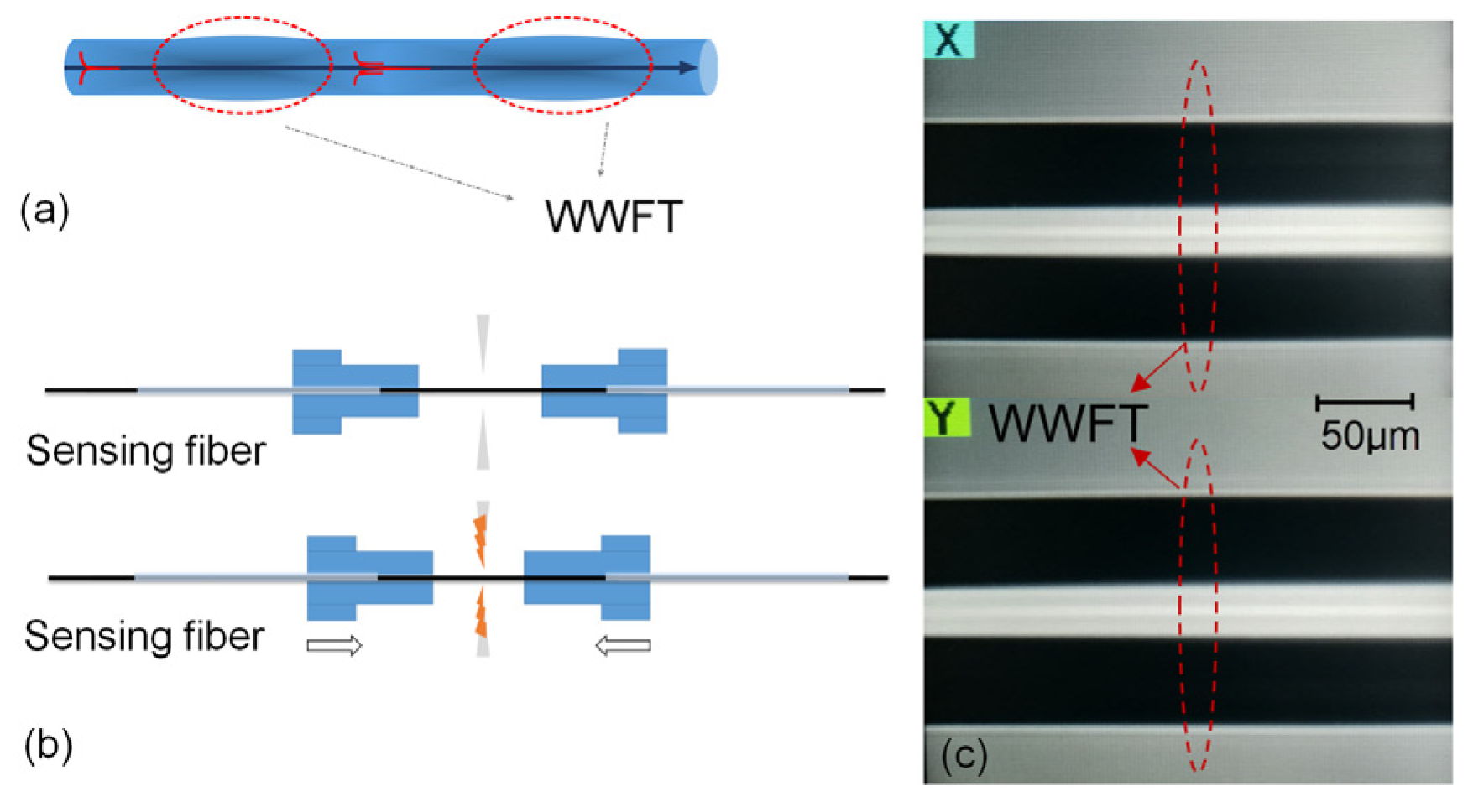 Sensors 21 06782 g001 550