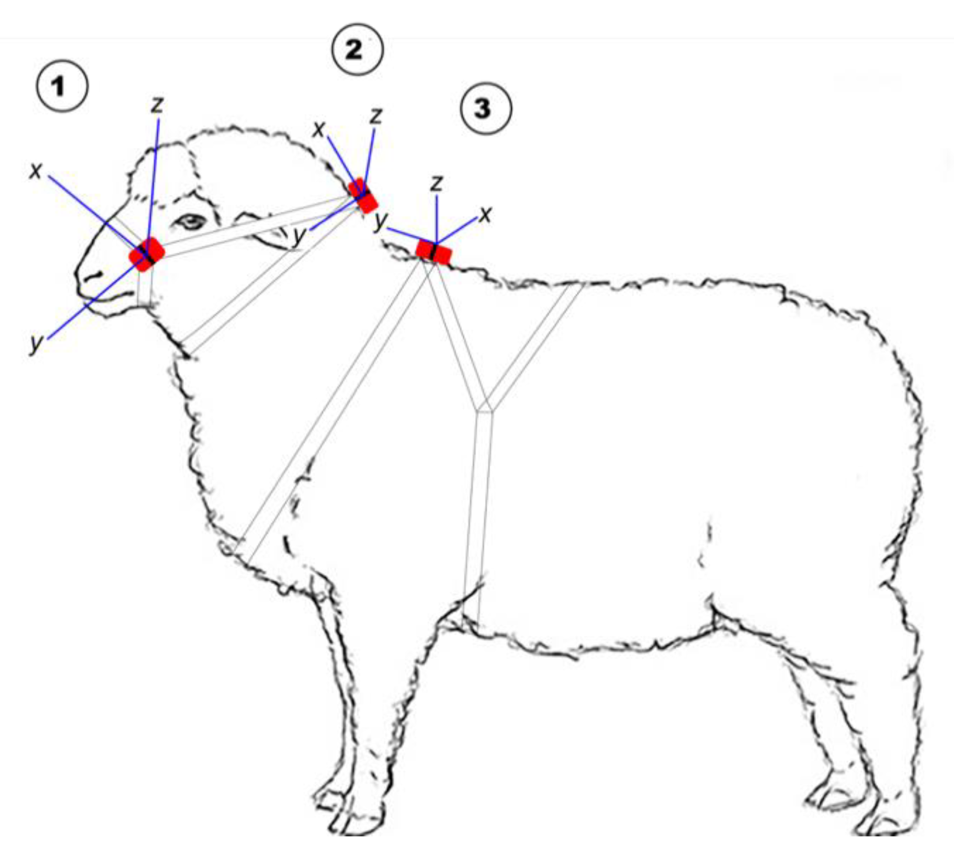 What Are Sheep Doing? Tri-Axial Accelerometer Sensor Data
