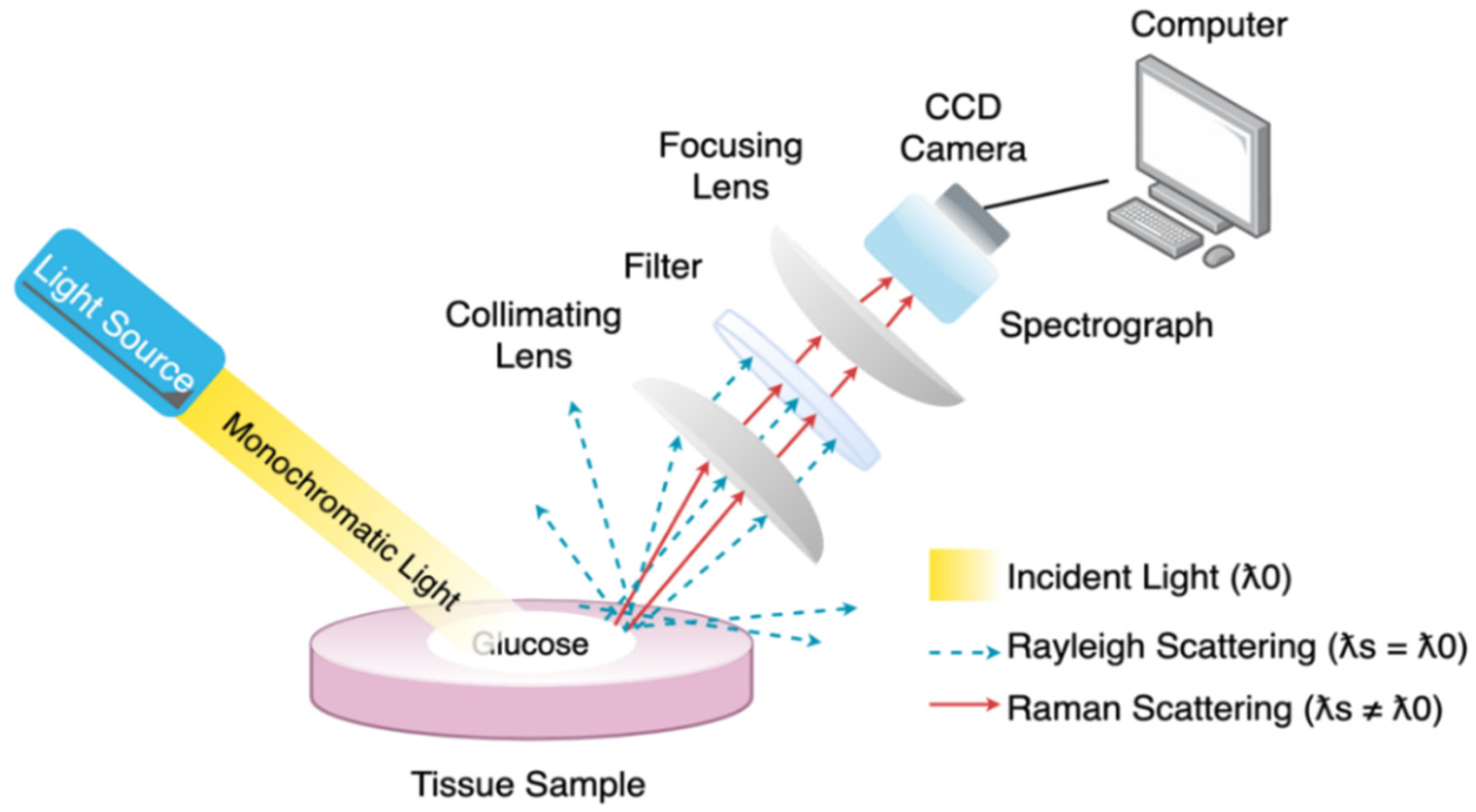 Sensors 21 06820 g008