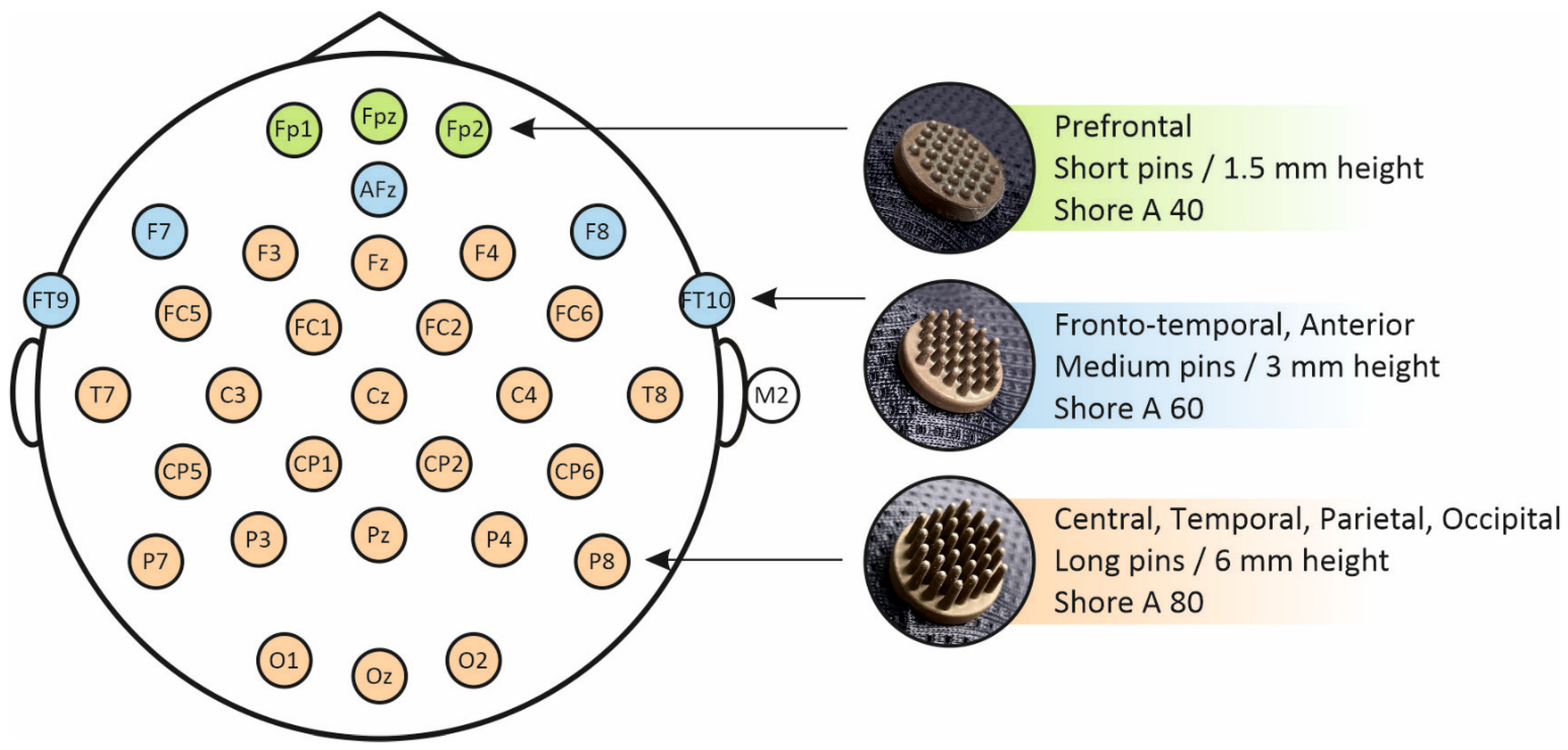Sensors Free FullText Validation of Soft Multipin Dry EEG Electrodes