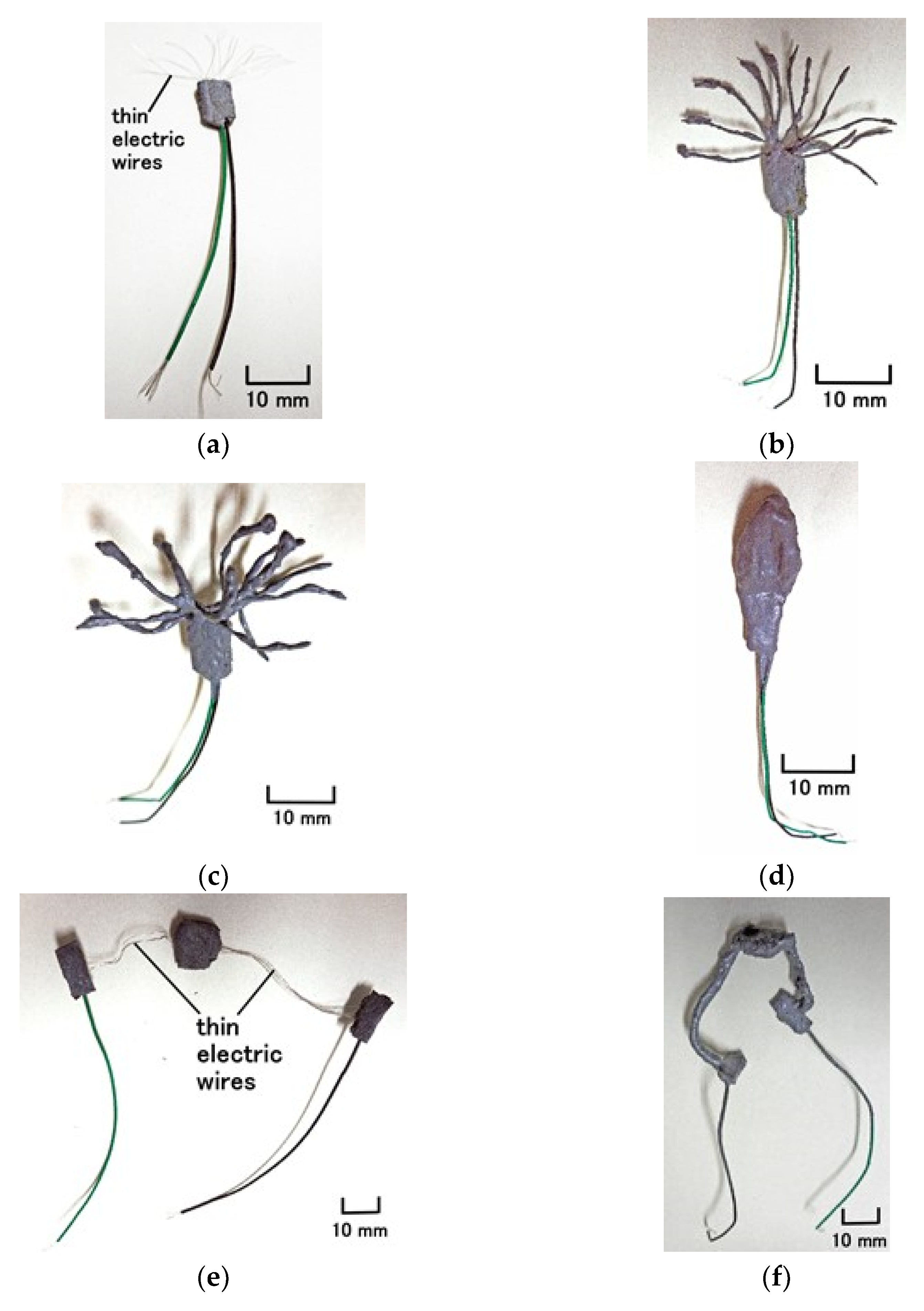 Sensors 21 06834 g011a 550
