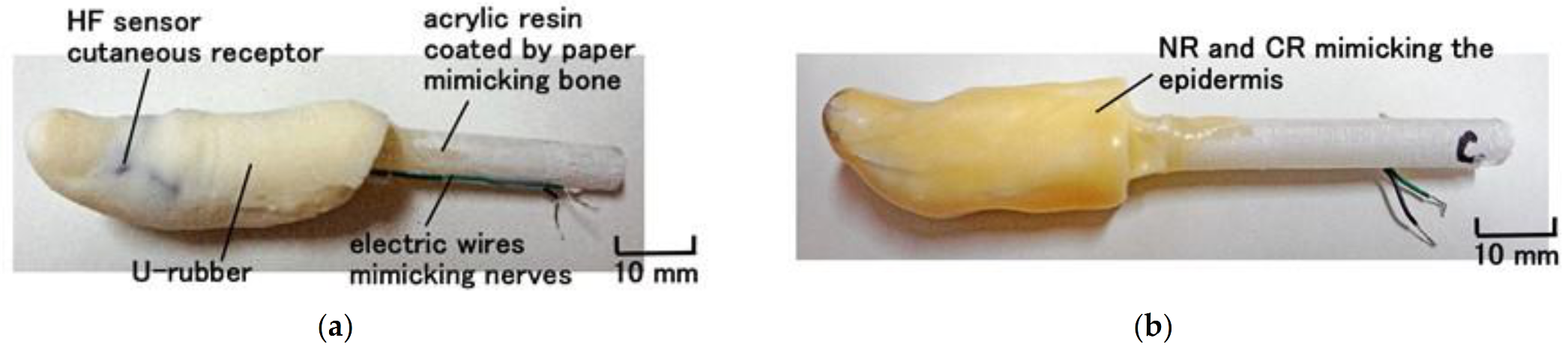 Sensors 21 06834 g013 550
