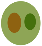 Sensors 21 06840 i032