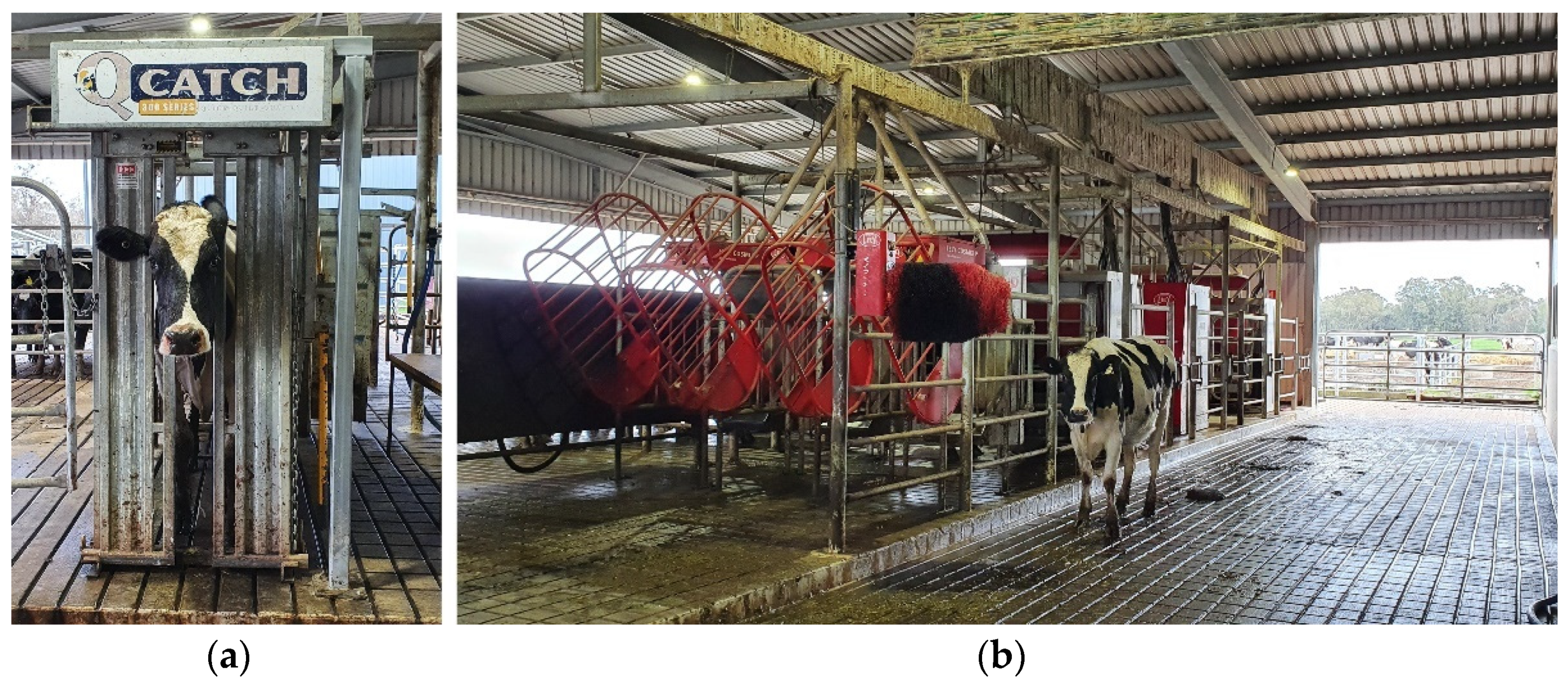 Sensors 21 06844 g001 550