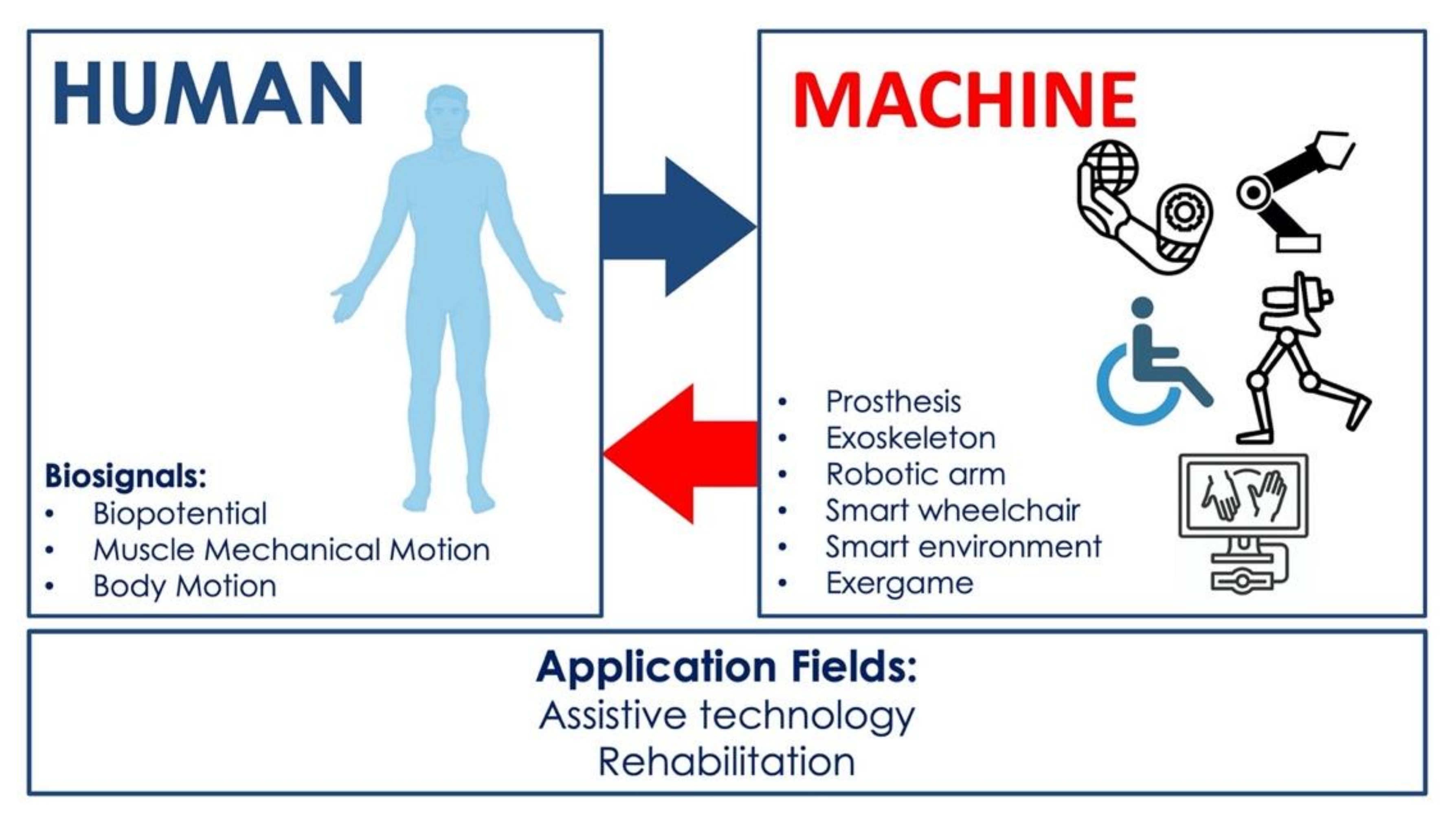 Algorithm may improve brain-controlled prostheses and exoskeletons