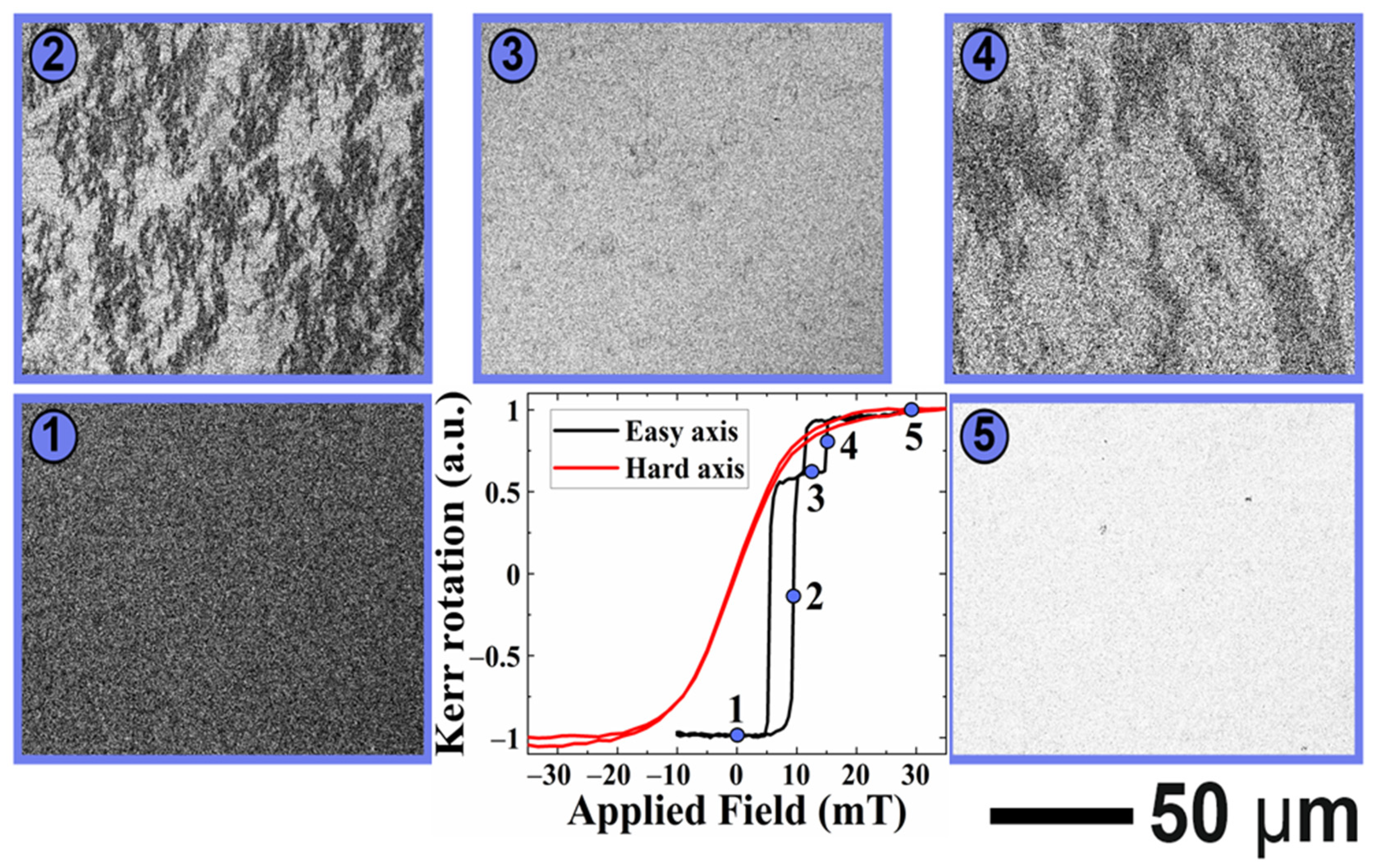 Sensors 21 06891 g009