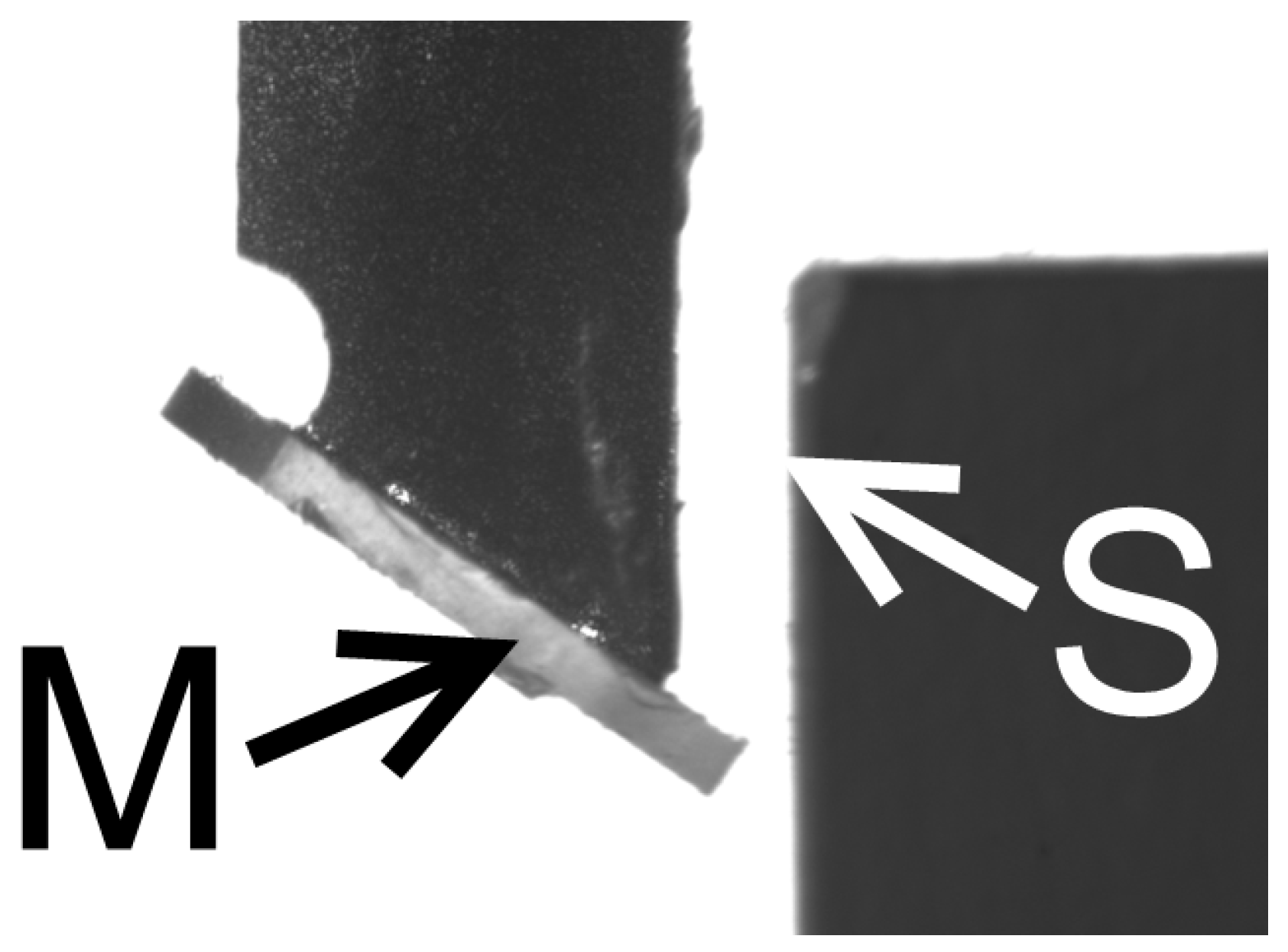 Sensors 21 06911 g006 550