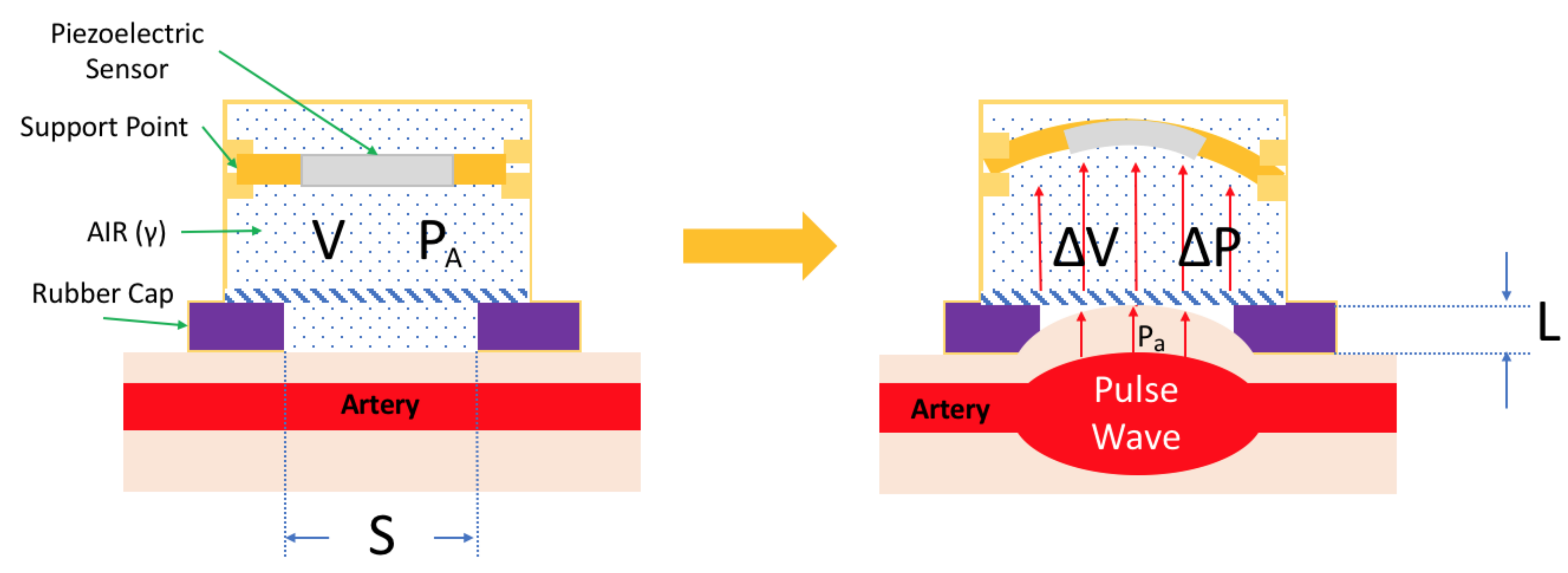 Sensors 21 06915 g002 550