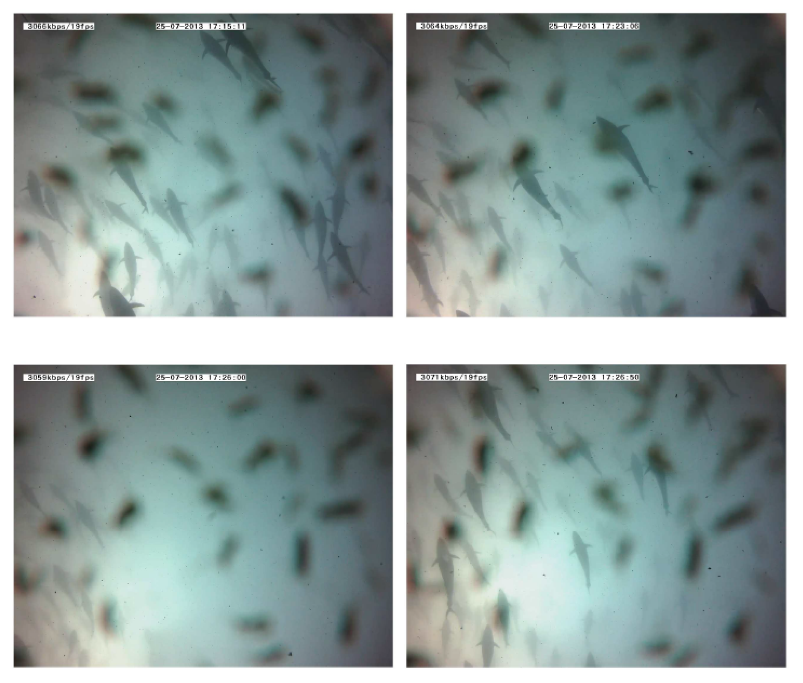 Sensors 21 06998 g015