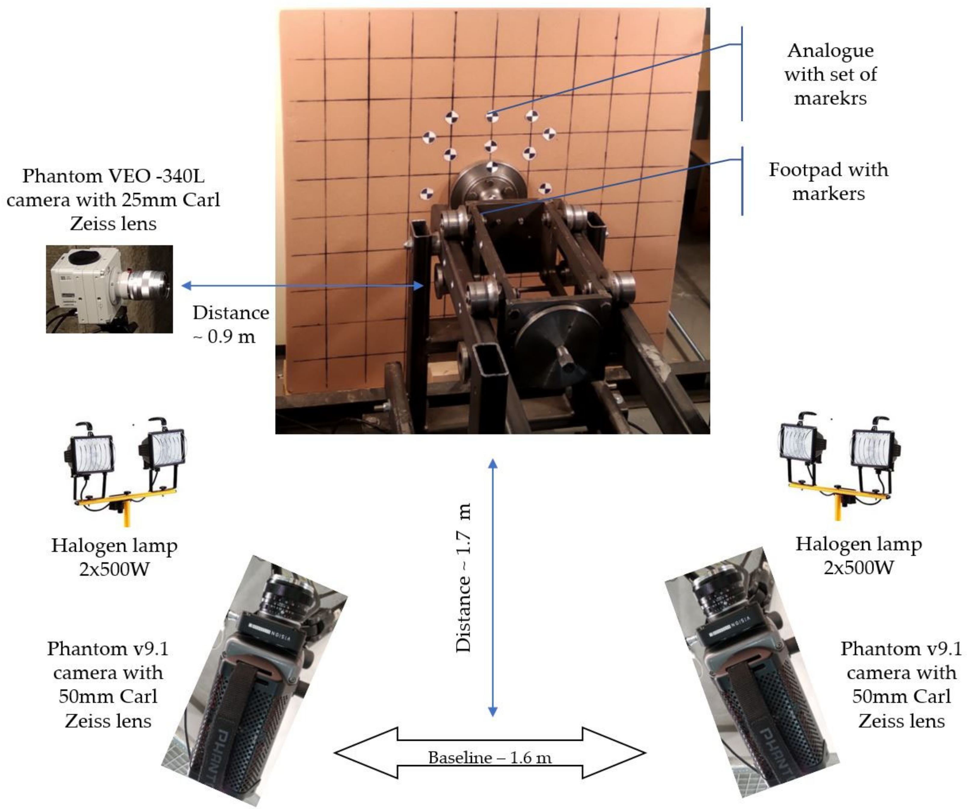 Sensors 21 07009 g005