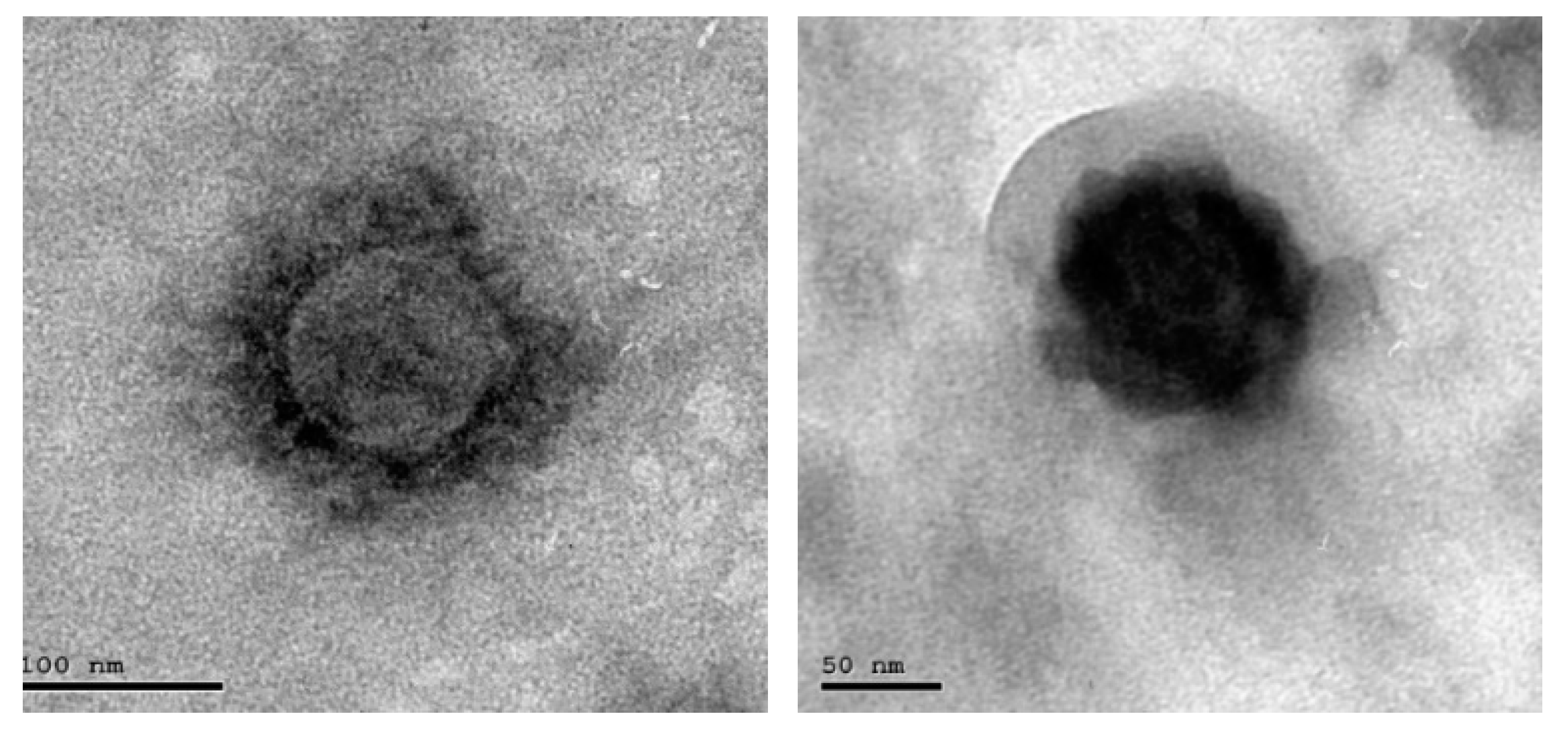 Sensors 21 07021 g005