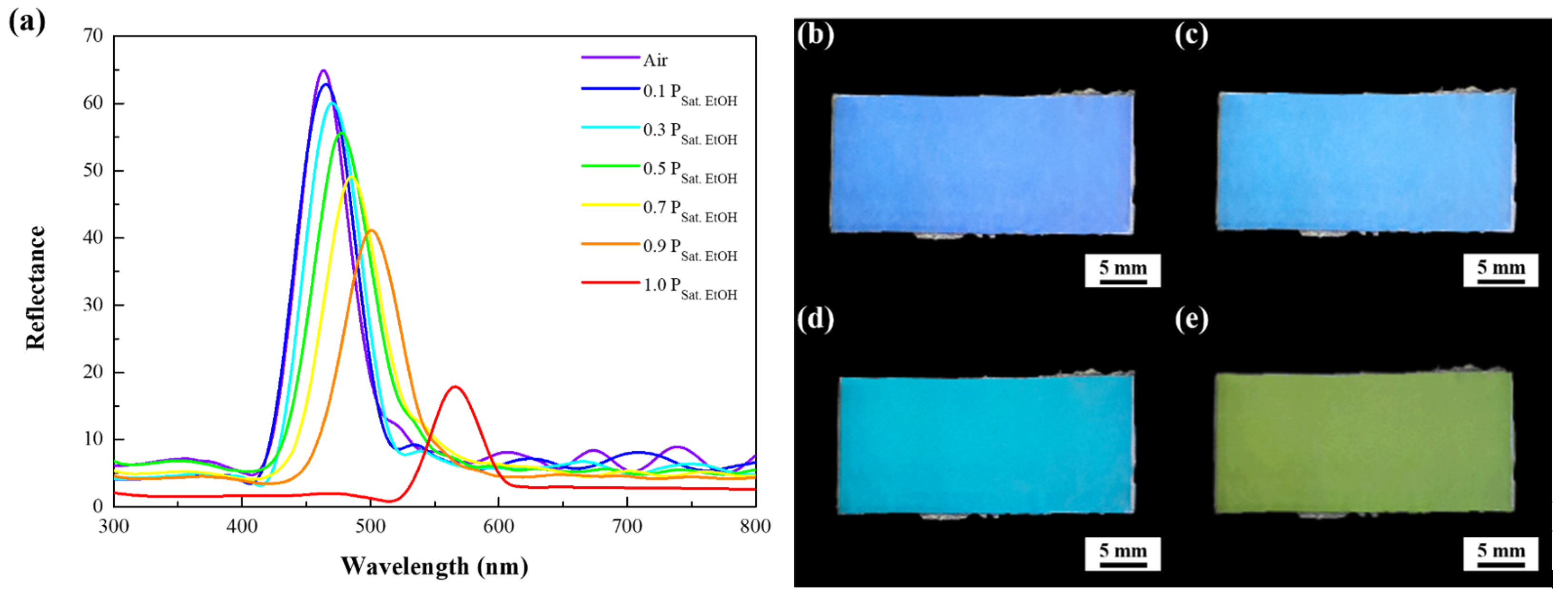Sensors 21 07046 g003