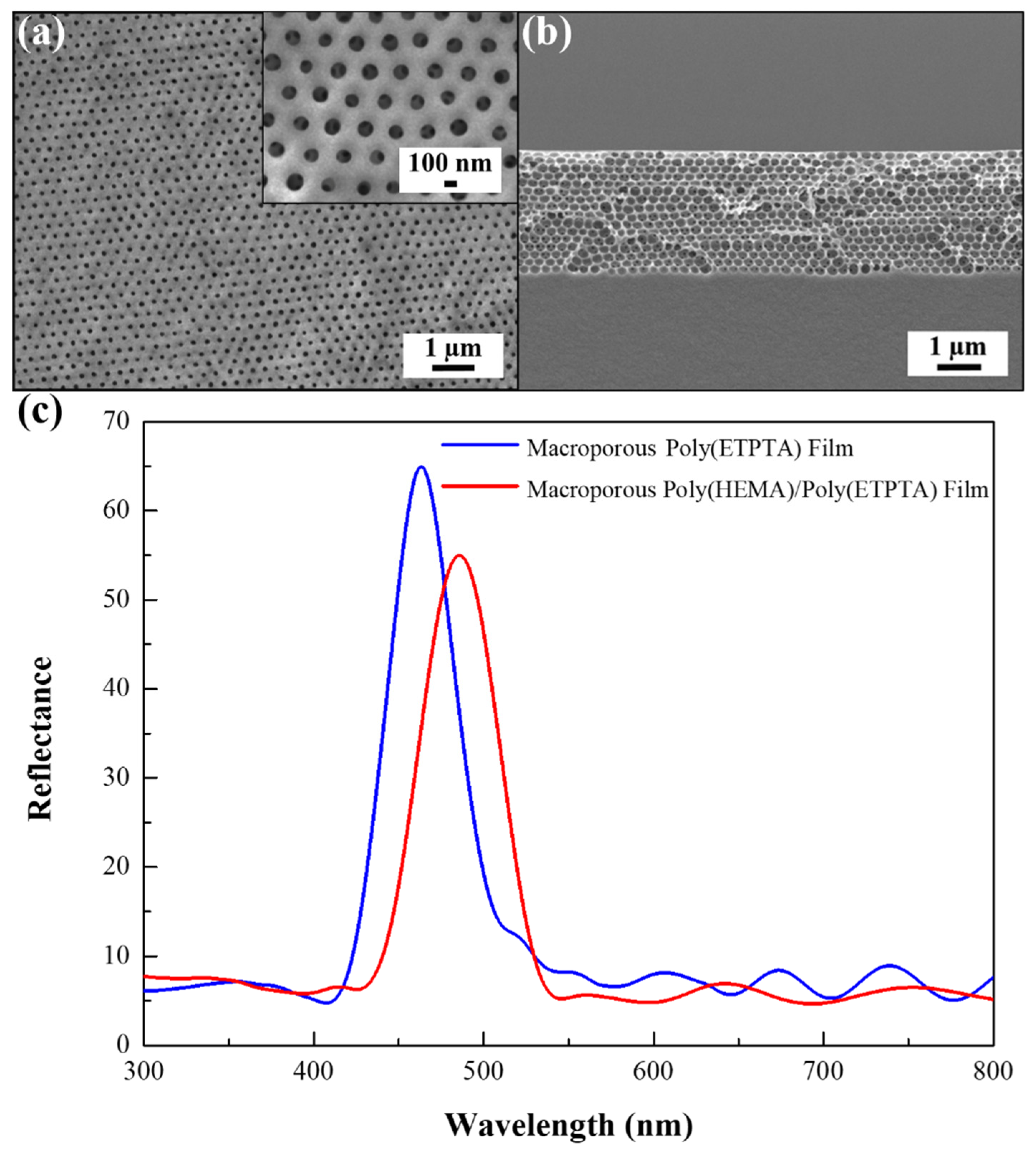 Sensors 21 07046 g004